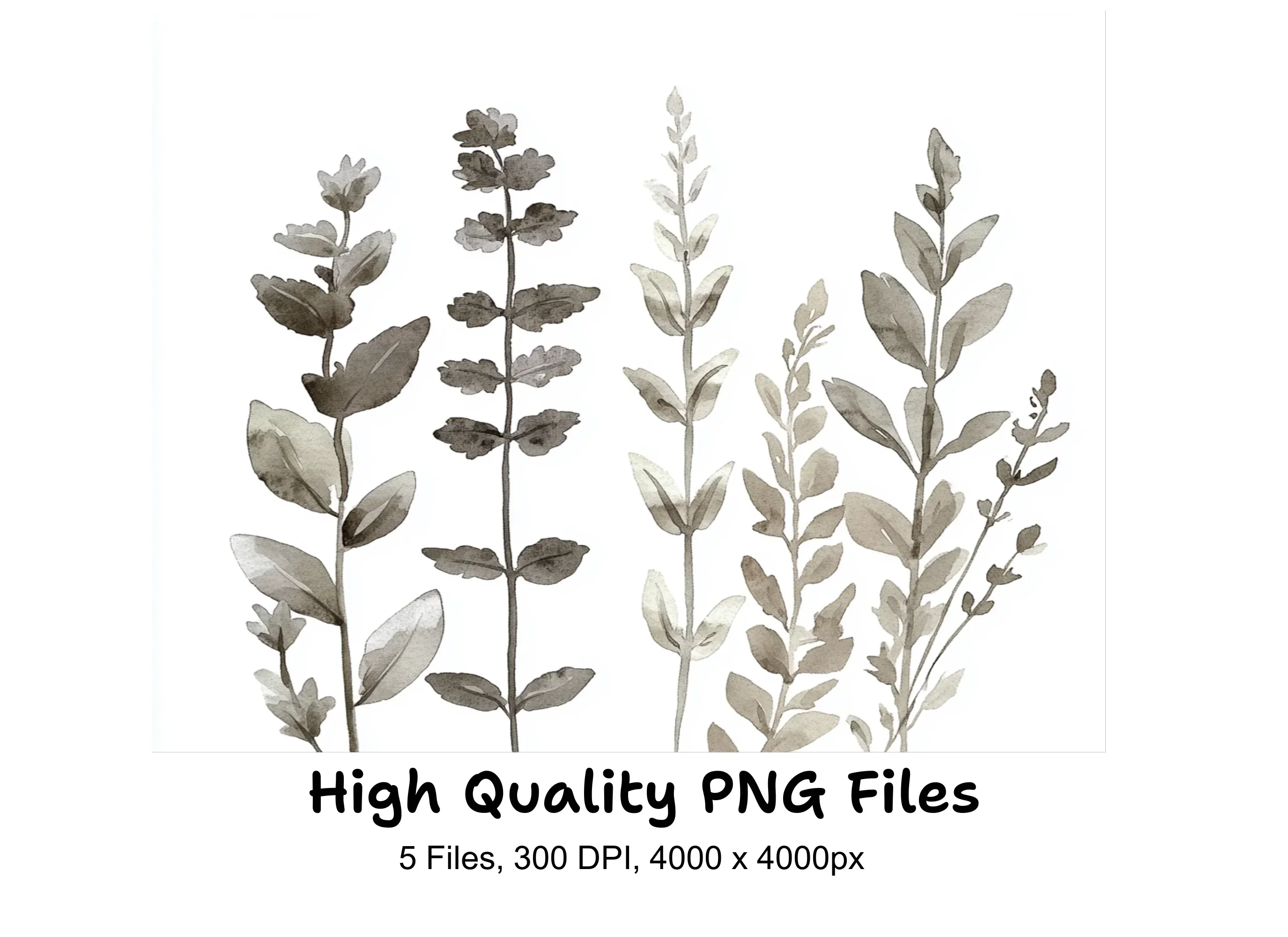 Botanical Clipart Bundle