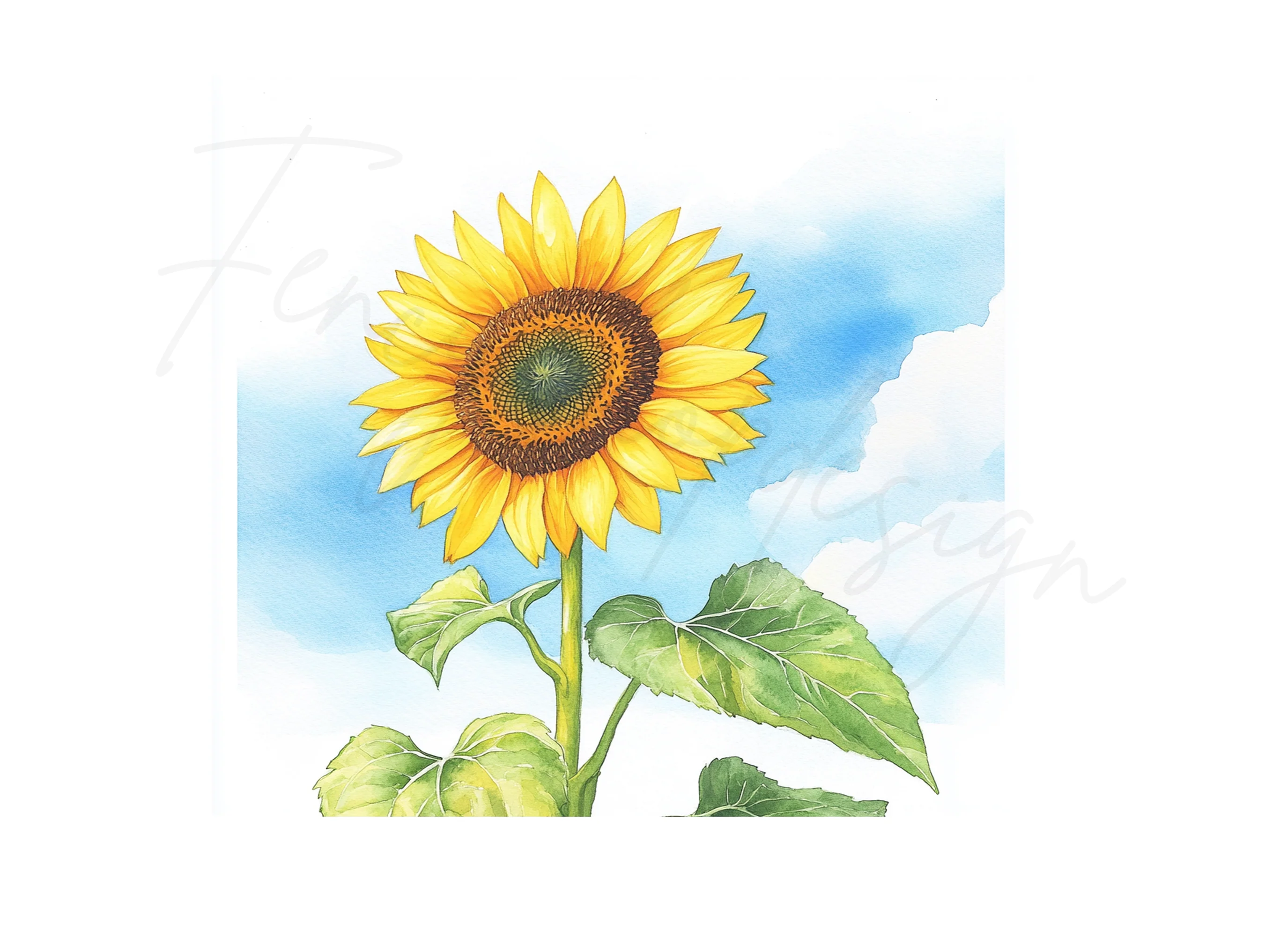 Bright Sunflower Illustrations Clipart Bundle - Image 2