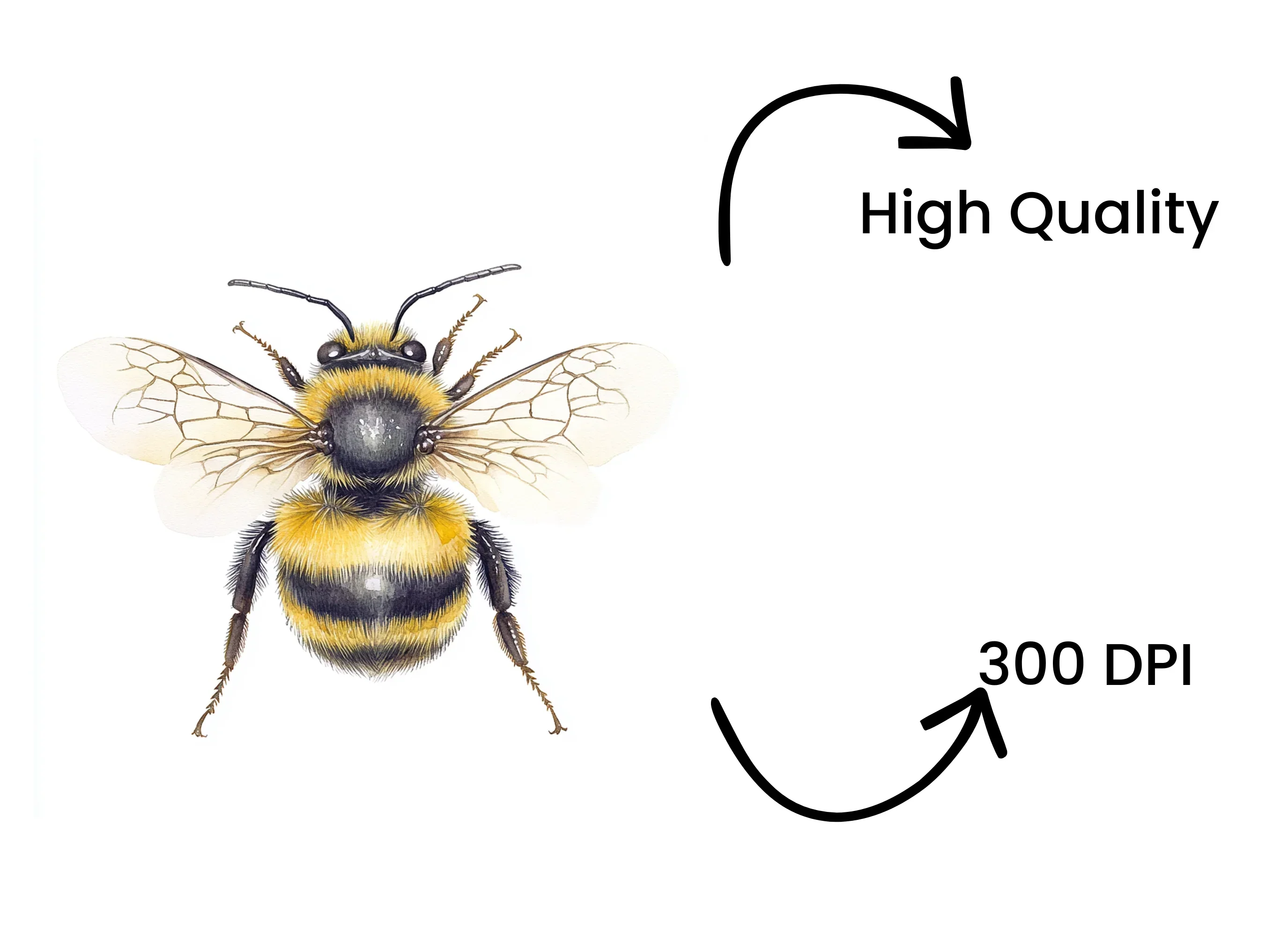Bumble Bee Clipart Bundle - Image 4