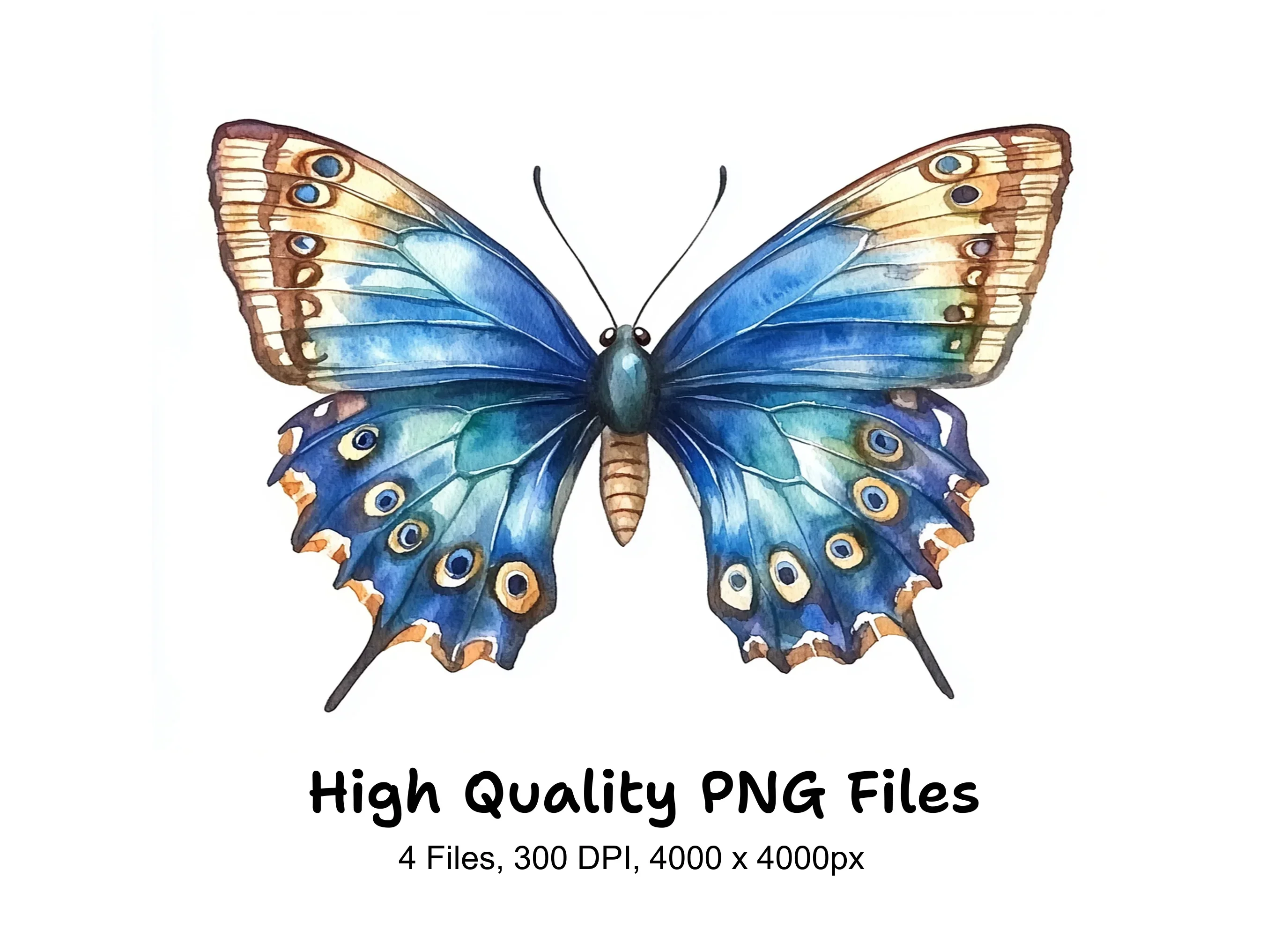 Butterfly Clipart Bundle