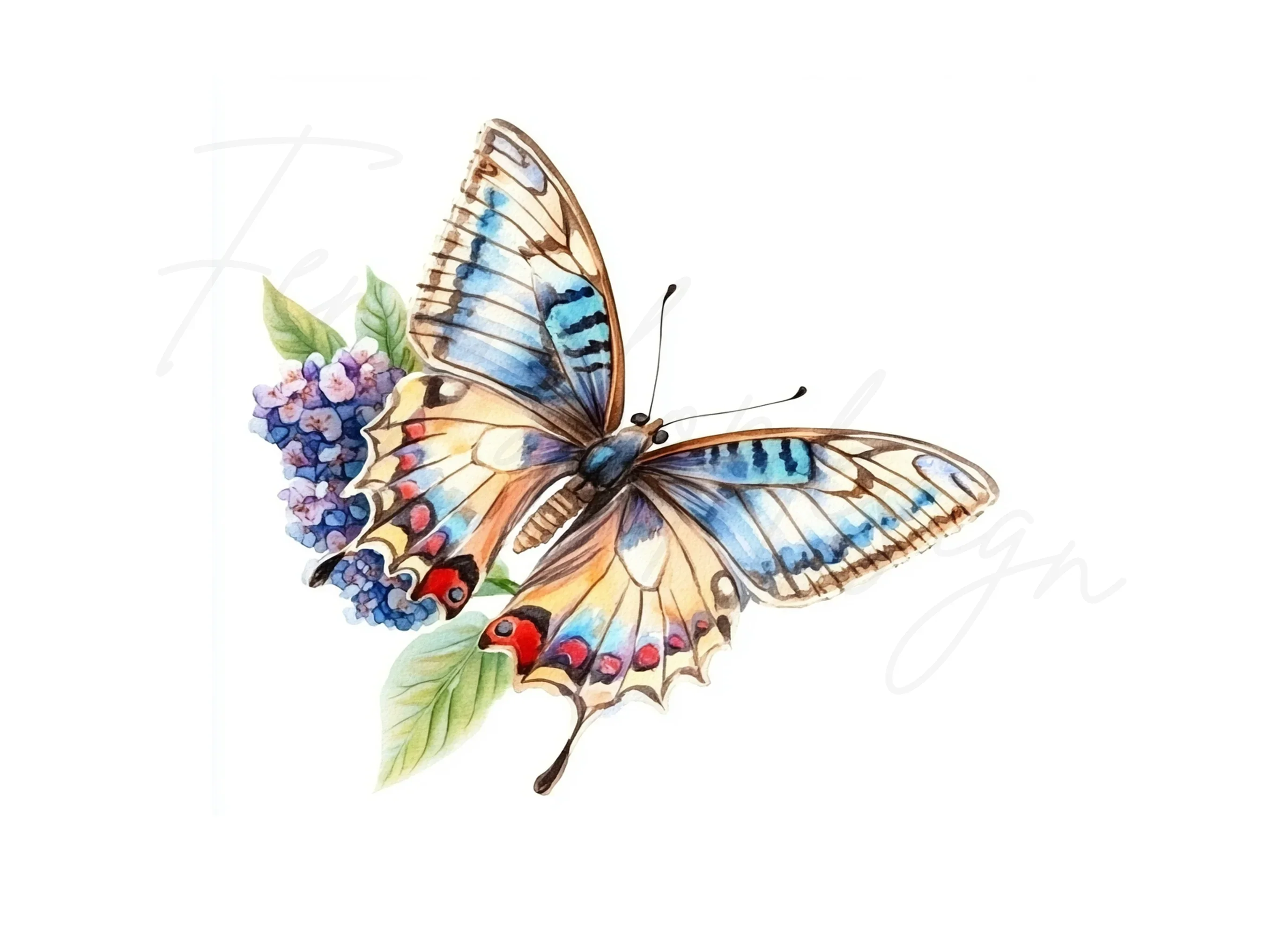 Butterfly Clipart Bundle - Image 3