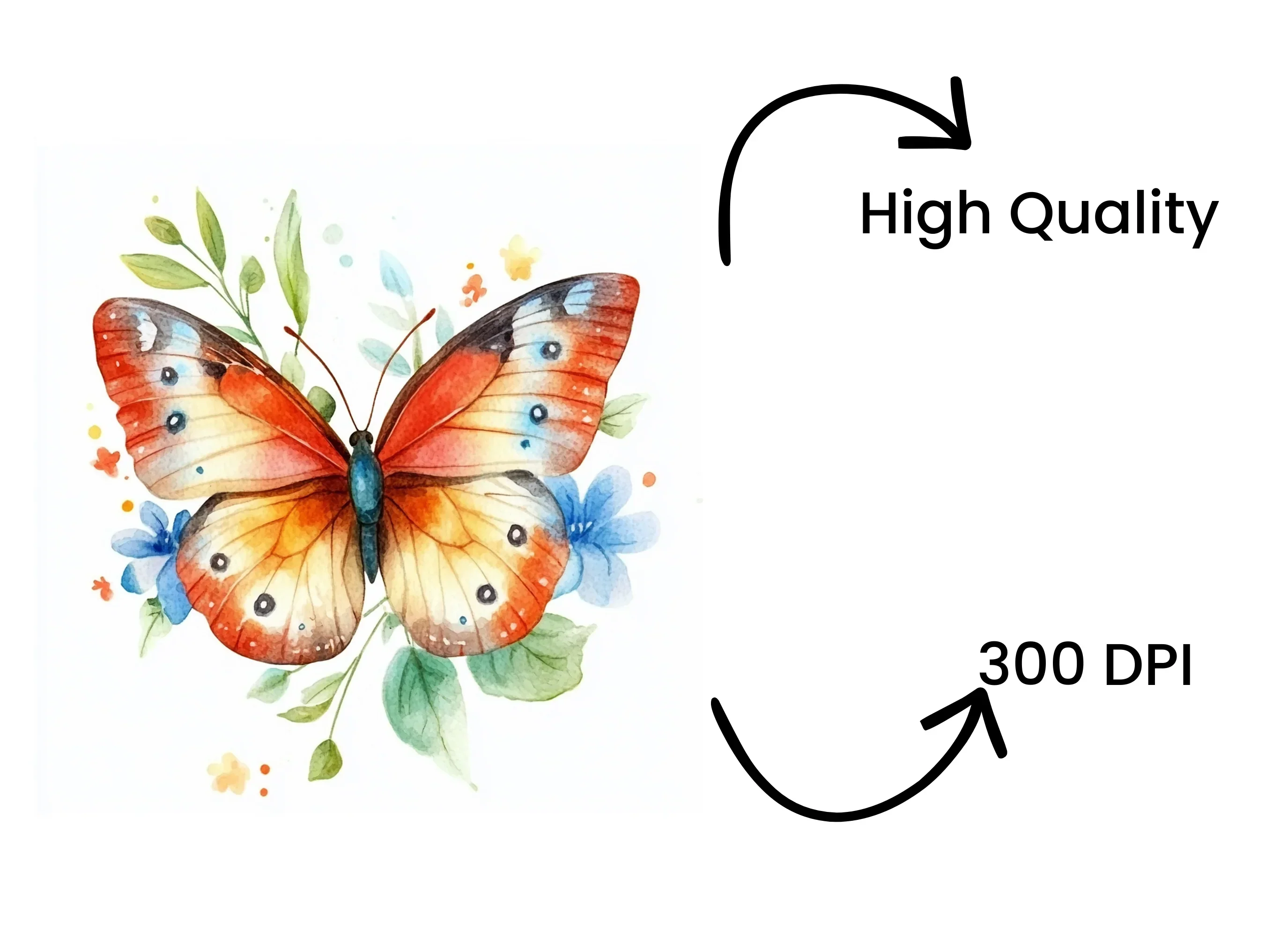 Butterfly Clipart Bundle - Image 4