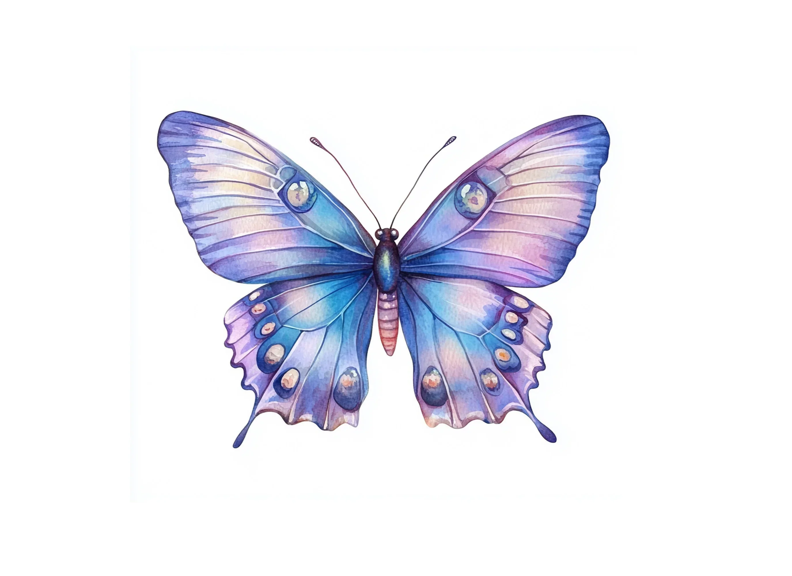Butterfly Clipart Bundle - Image 3