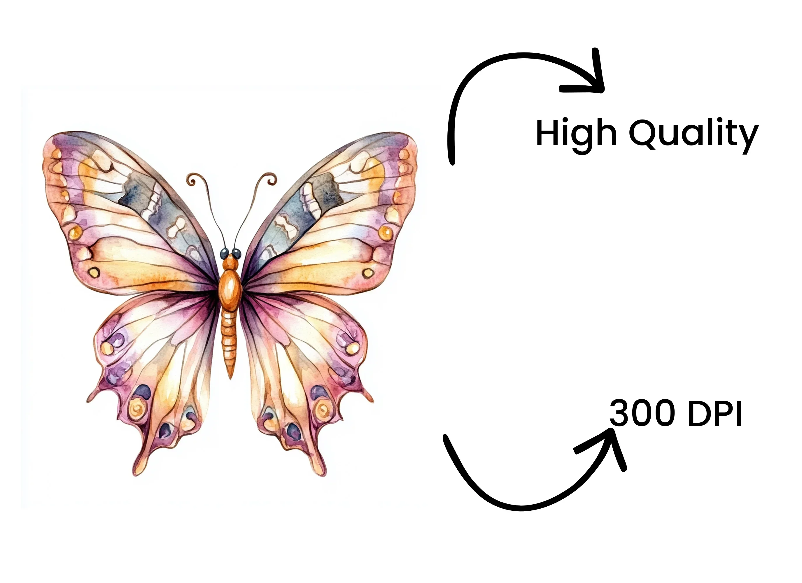 Butterfly Clipart Bundle - Image 4