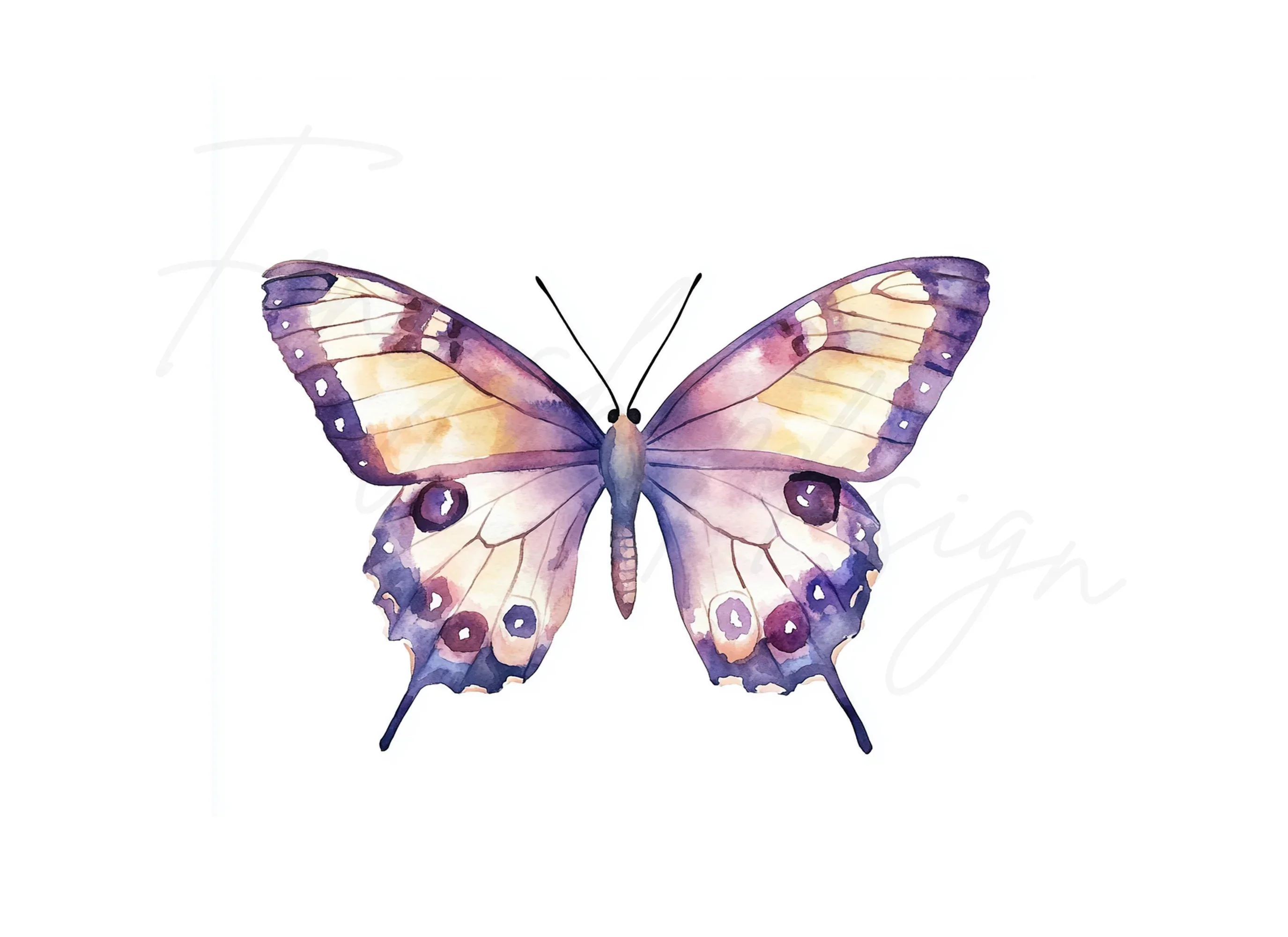 Butterfly Clipart Bundle - Image 2