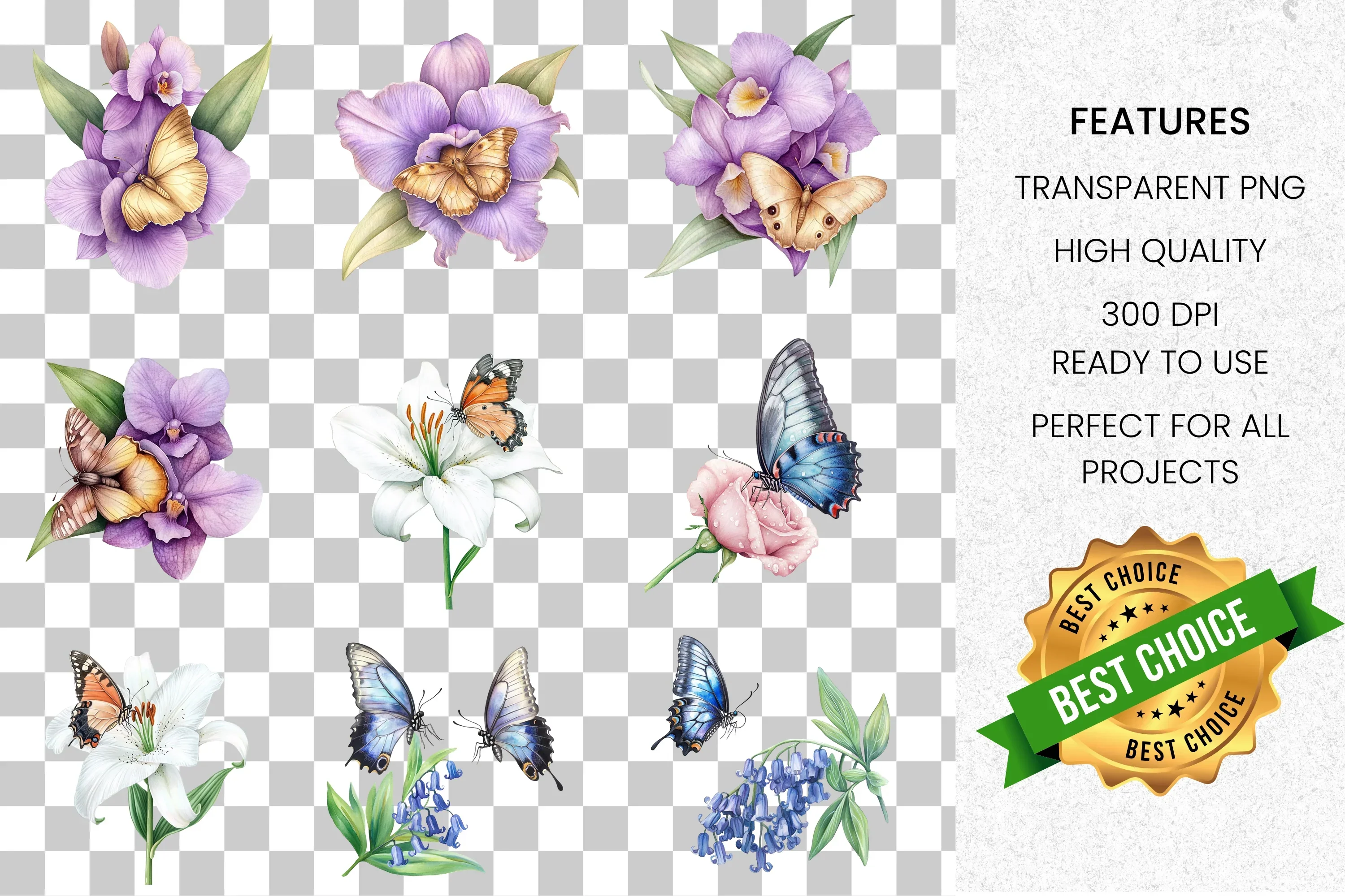 Butterfly Floral Clipart Bundle - Image 2