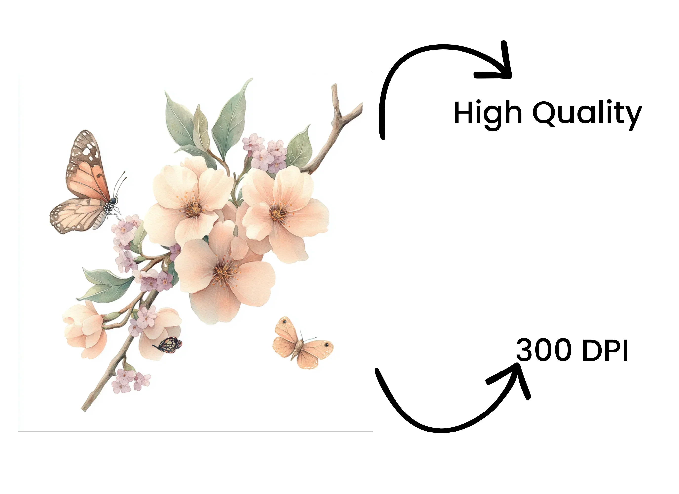 Butterfly Floral Clipart Bundle - Image 4
