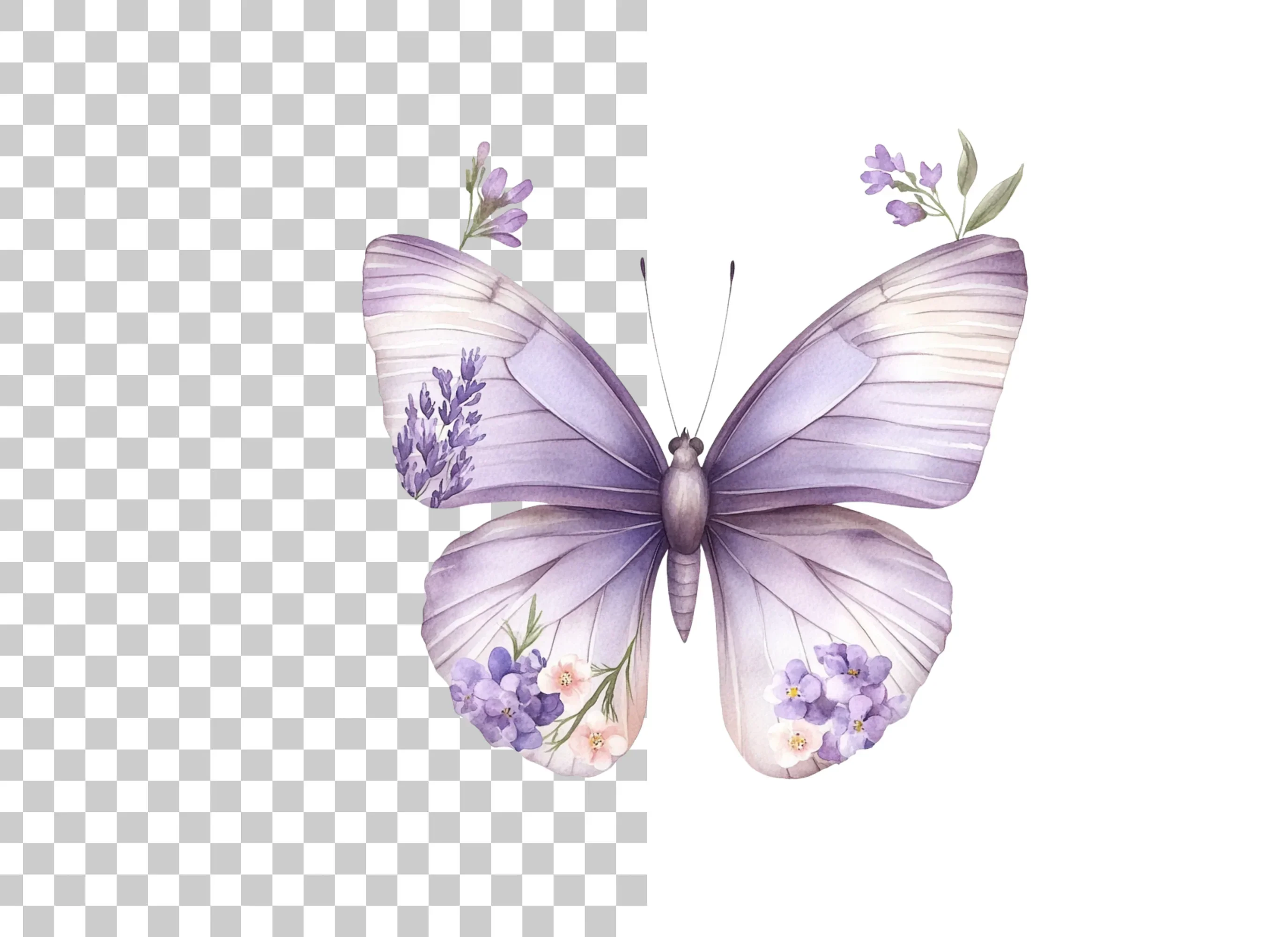 Butterfly Floral Wings Clipart Bundle - Image 3
