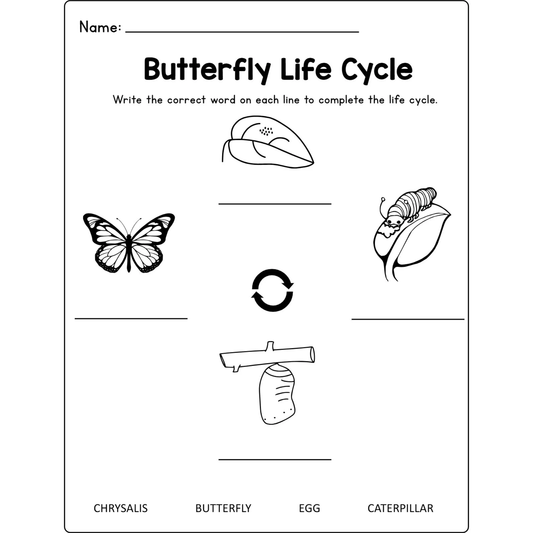 Butterfly Life Cycle Craft Research Activities - Image 4