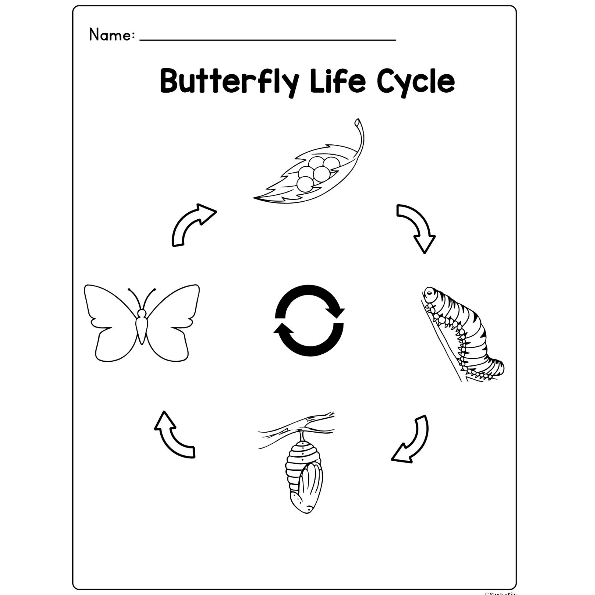 Butterfly Life Cycle Craft Research Activities - Image 5