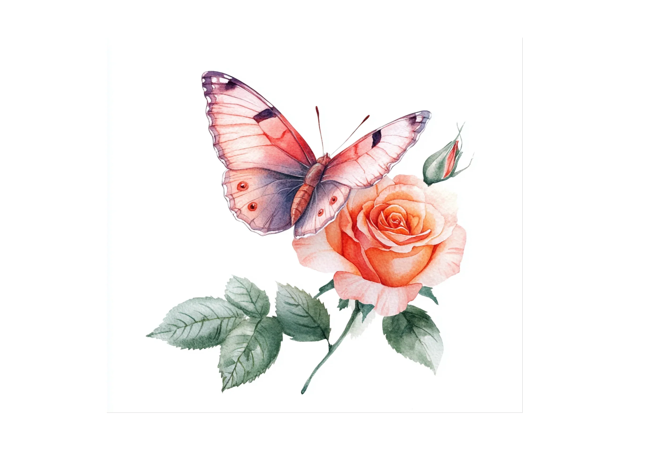 Butterfly Rose Clipart Bundle - Image 2
