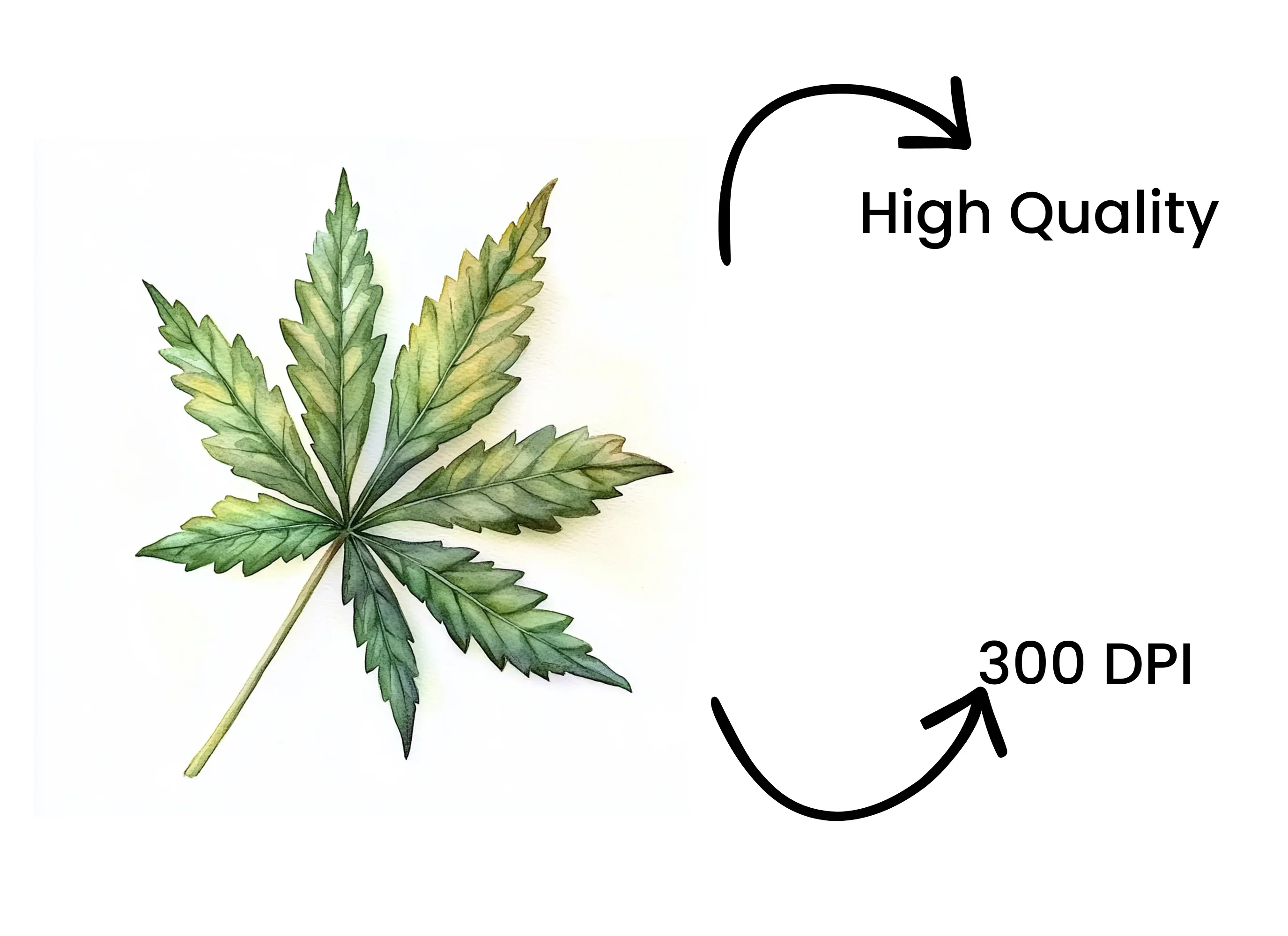 Cannabis Leaves Clipart Bundle - Image 4
