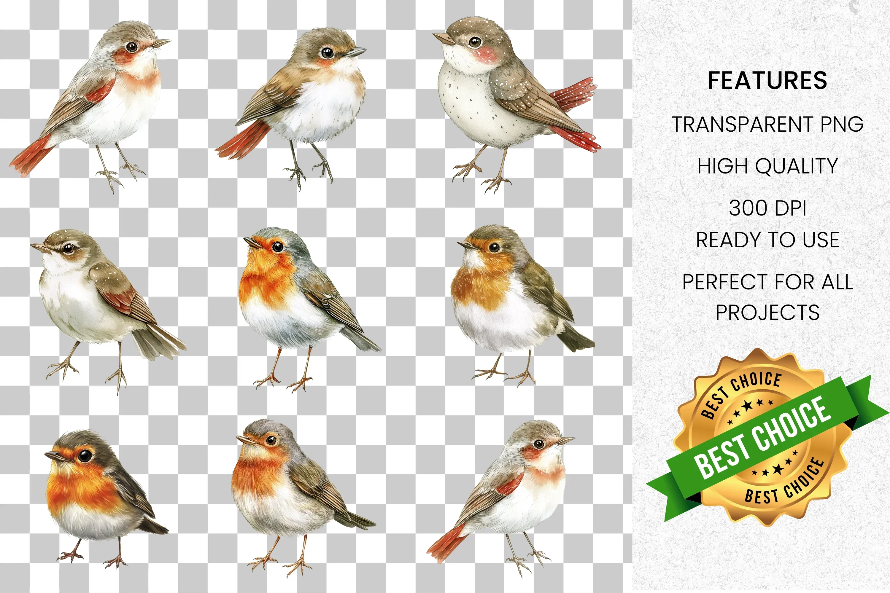 Charming Bird Clipart Bundle - Image 8
