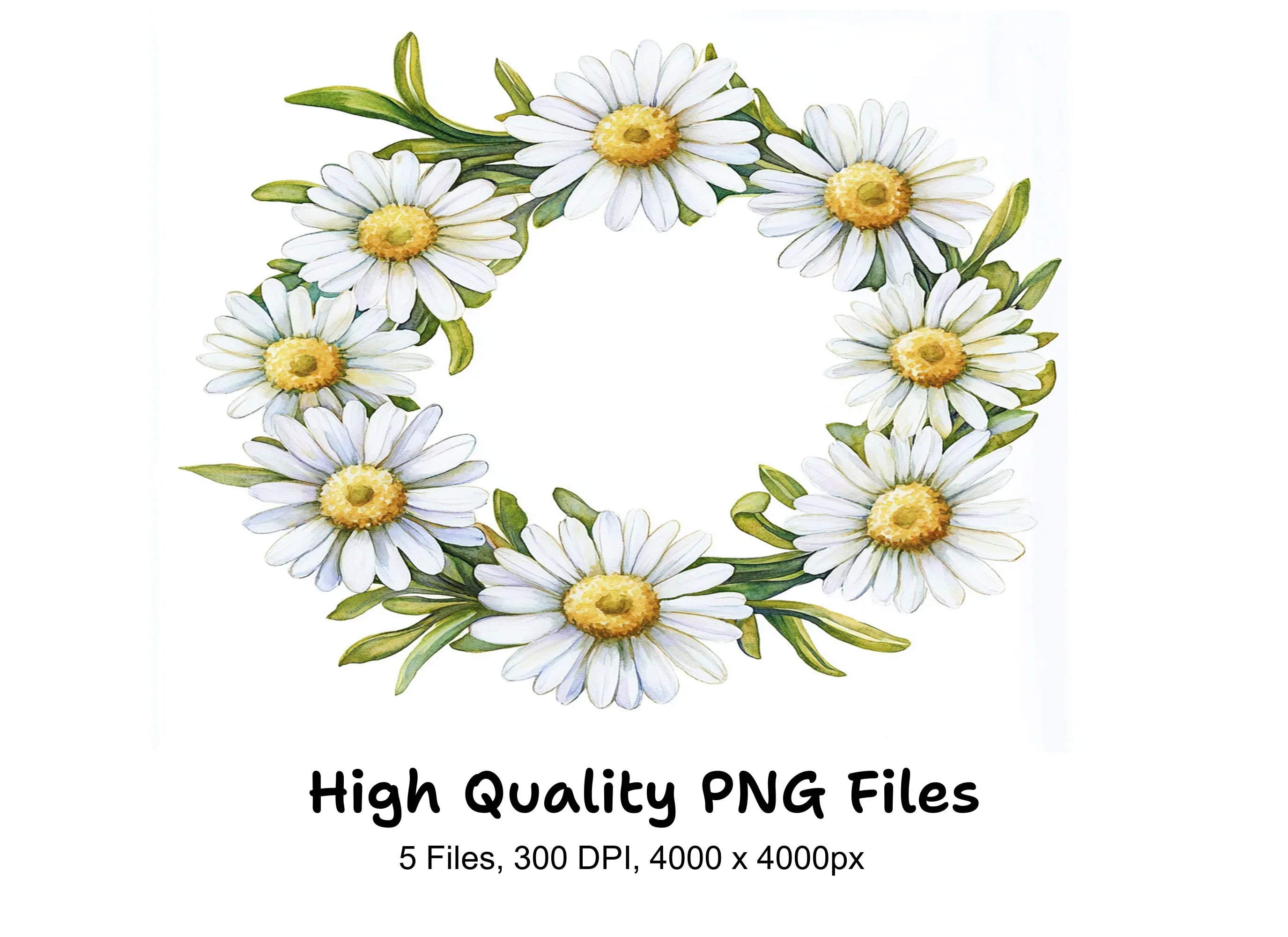 Charming Daisy Flower Wreath Clipart Bundle