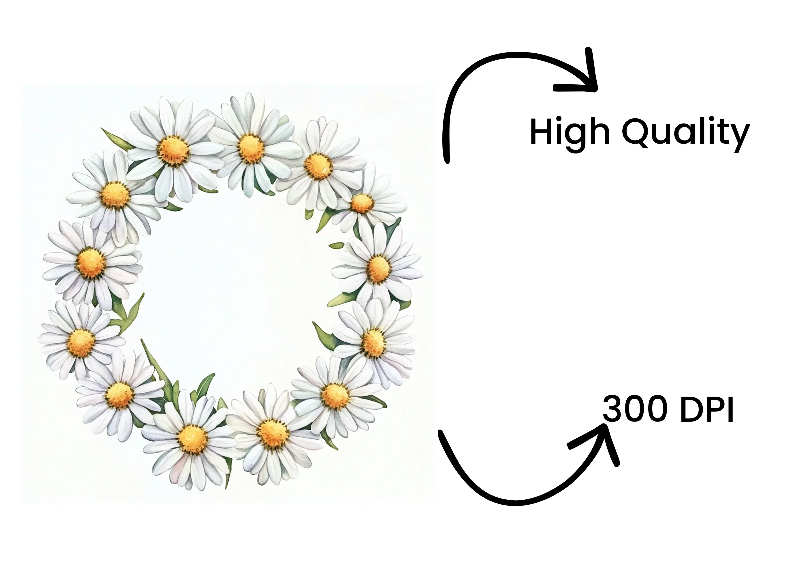 Charming Daisy Flower Wreath Clipart Bundle - Image 4