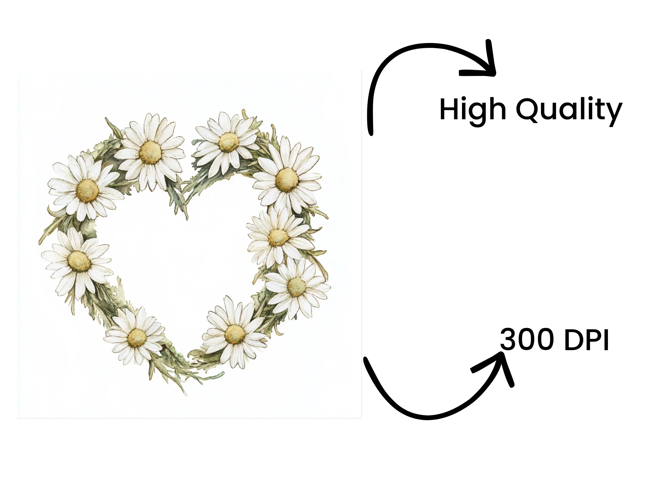 Charming Daisy Wreaths Clipart Bundle - Image 4