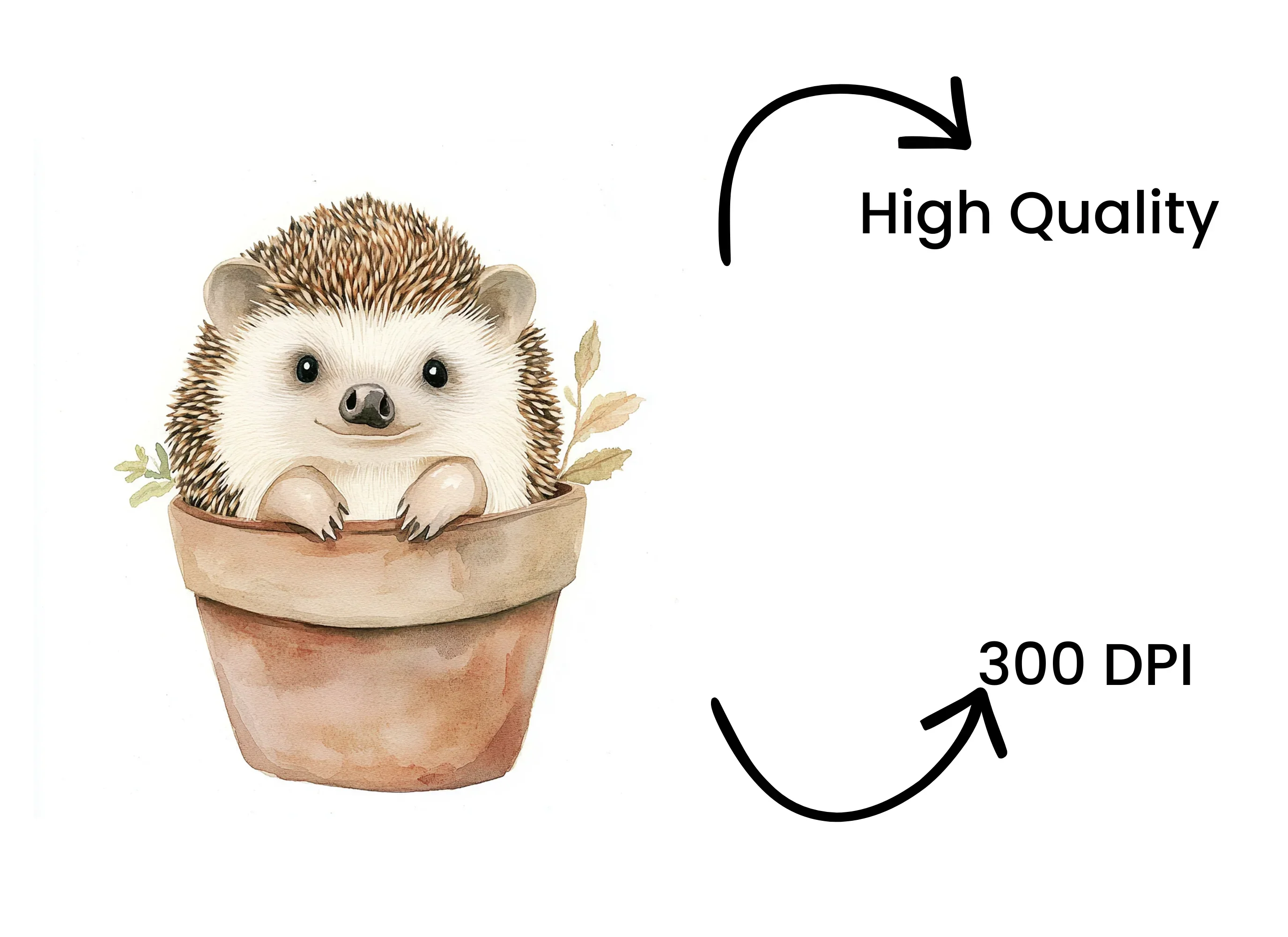Charming Hedgehog in Terracotta Pot Clipart Bundle - Image 4