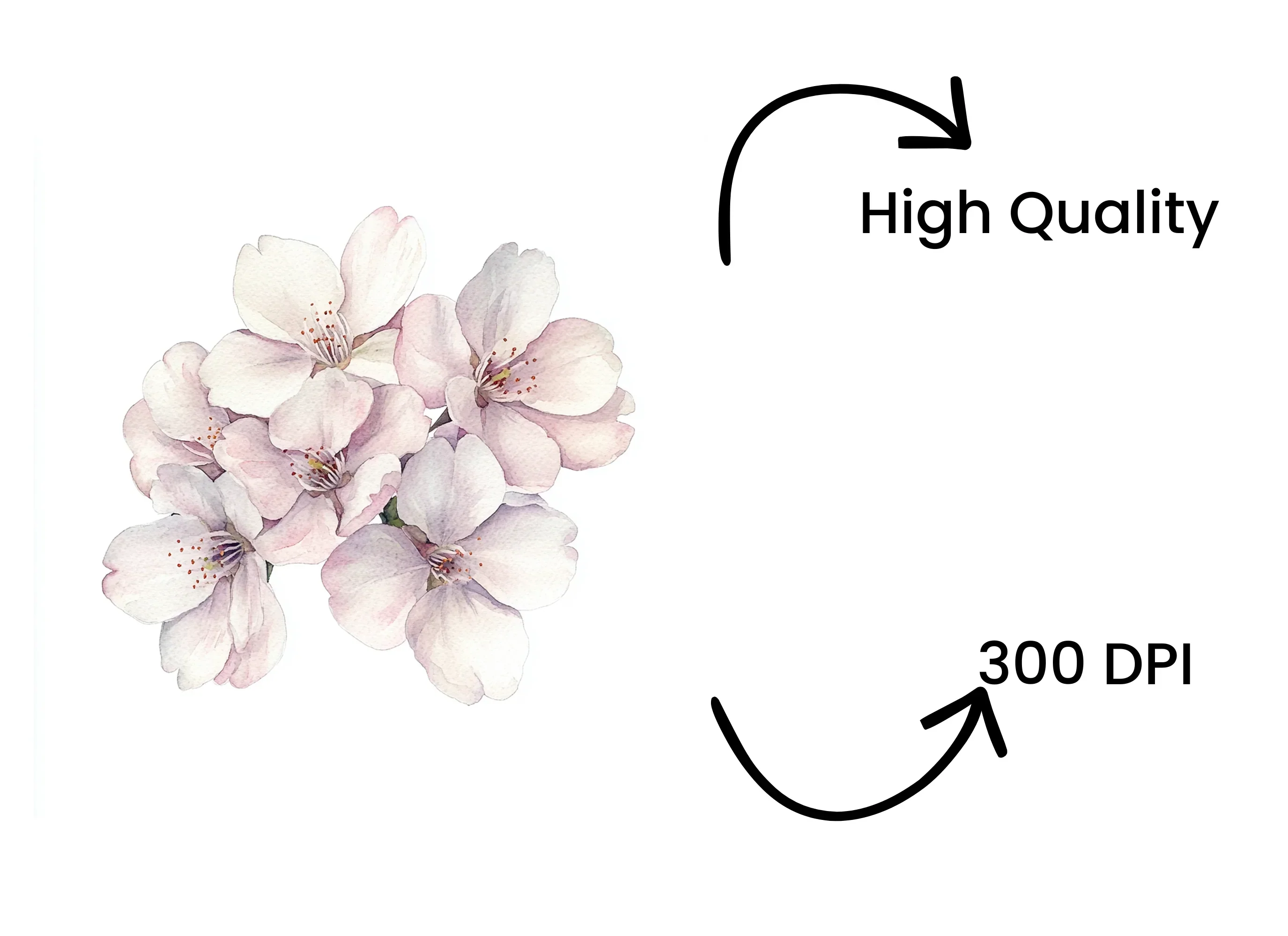 Cherry Blossom Bloom Clipart Bundle - Image 4