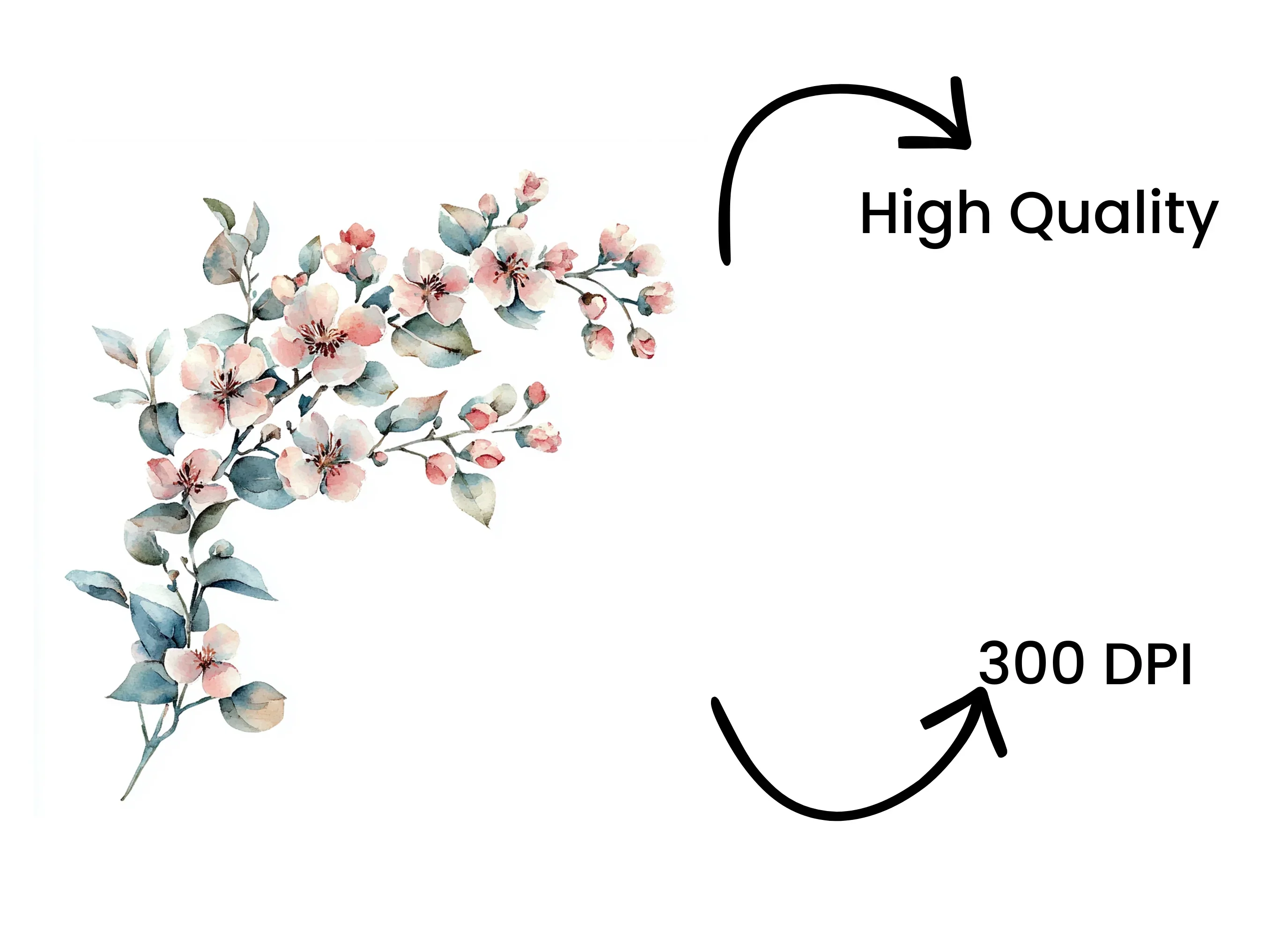 Cherry Blossom Branch Clipart Bundle - Image 4