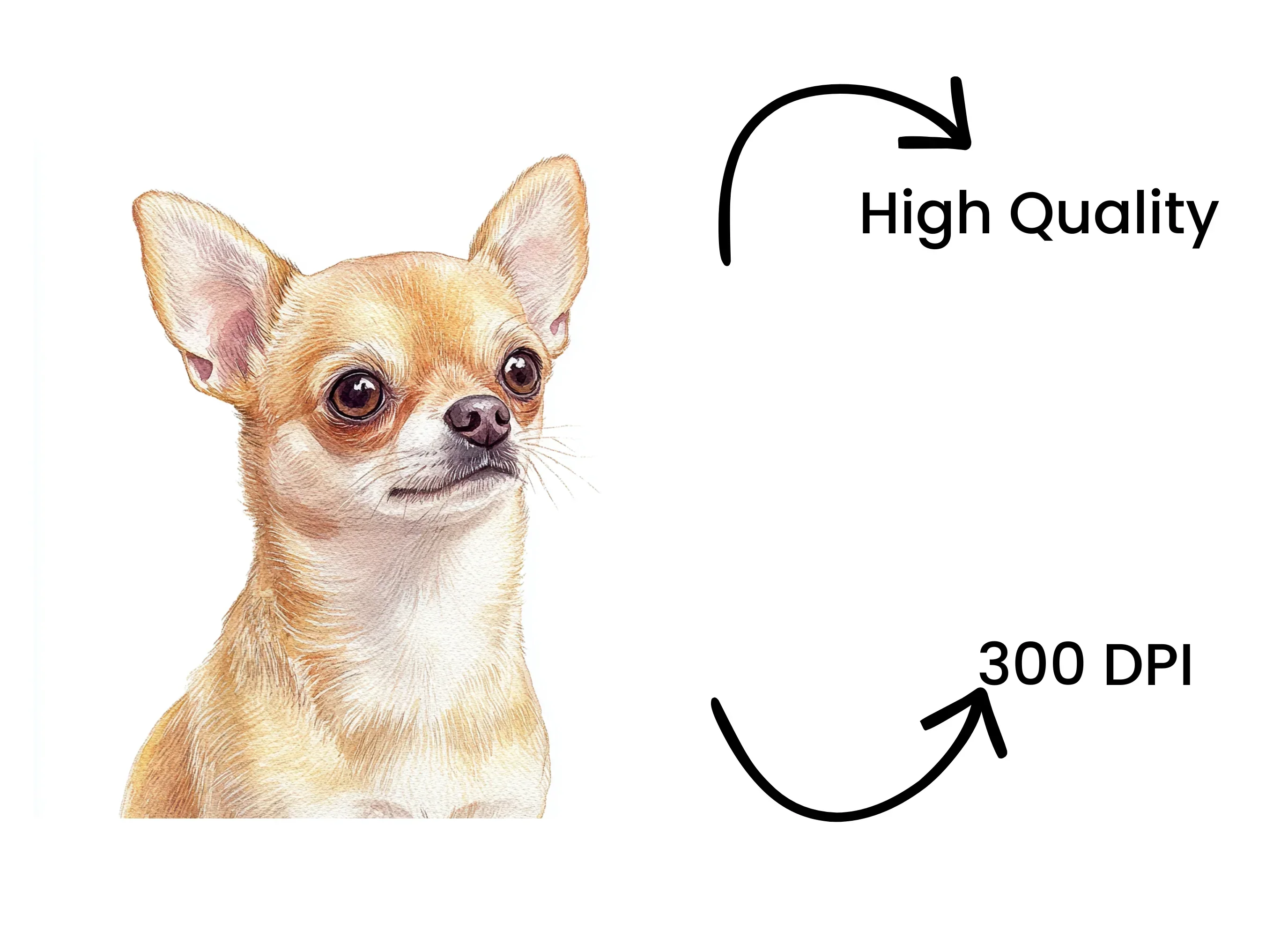 Chihuahua Dog Clipart Bundle - Image 4