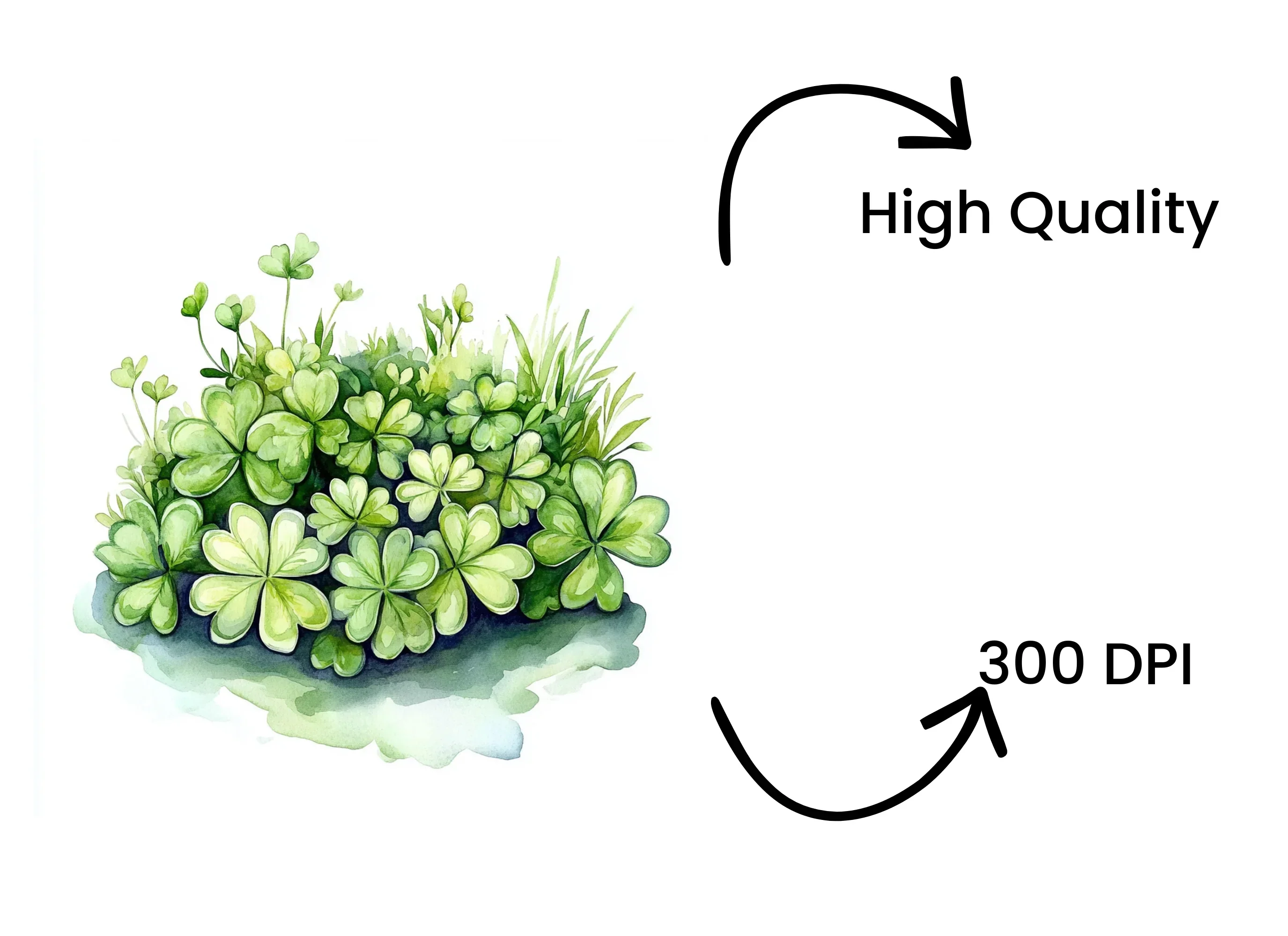 Clover Clipart Bundle - Image 4