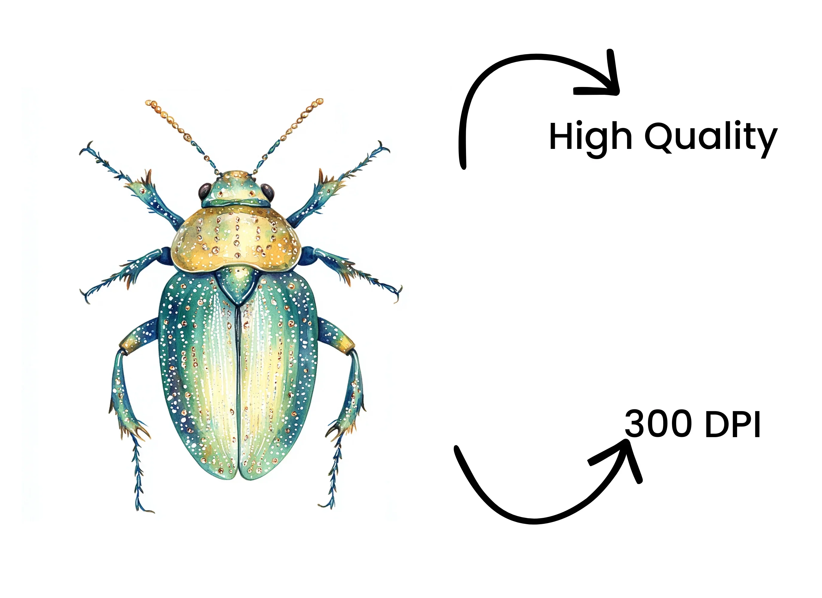 Colorful Beetle Illustration Clipart Bundle - Image 4