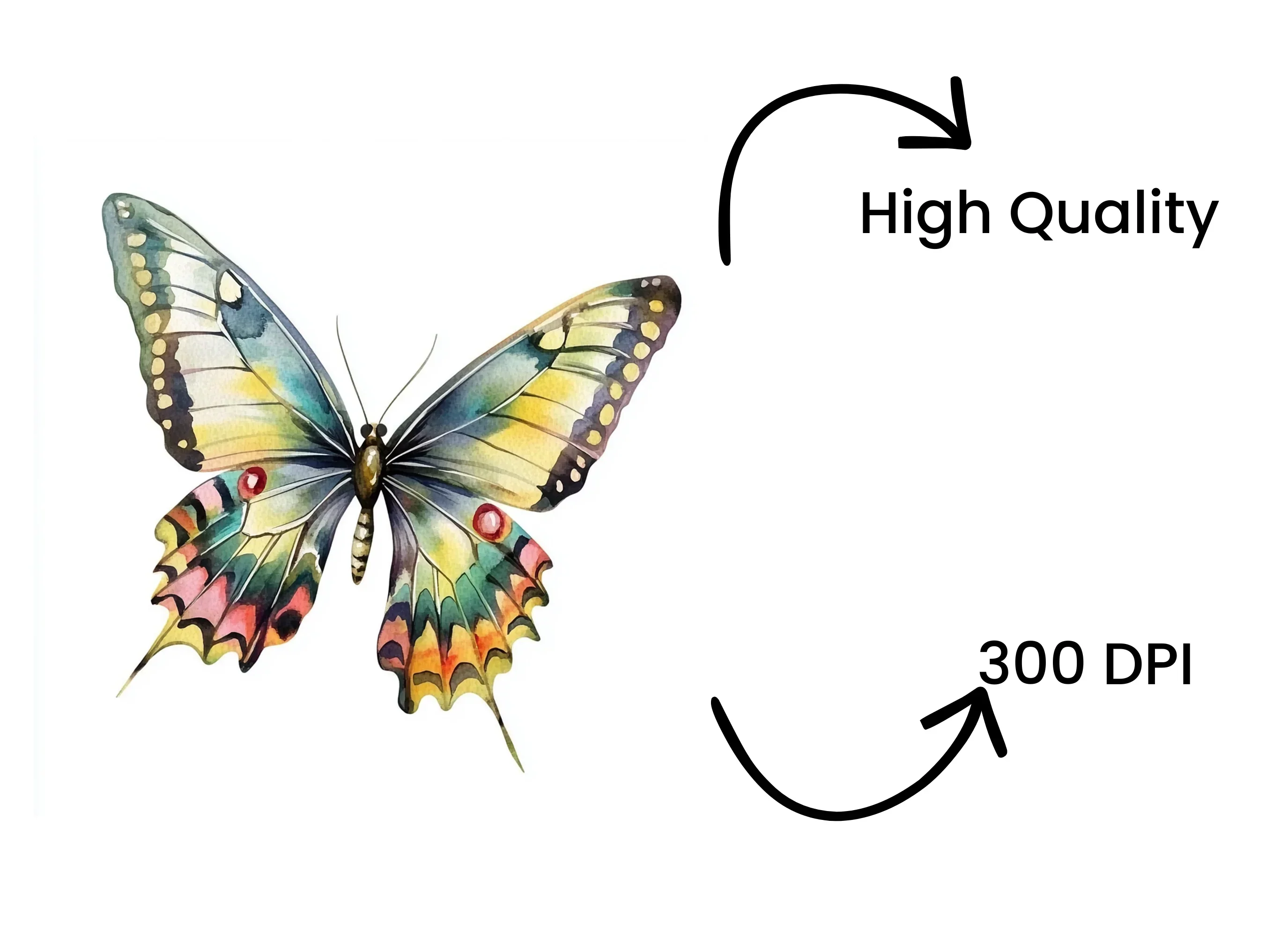 Colorful Butterfly Clipart Bundle - Image 4