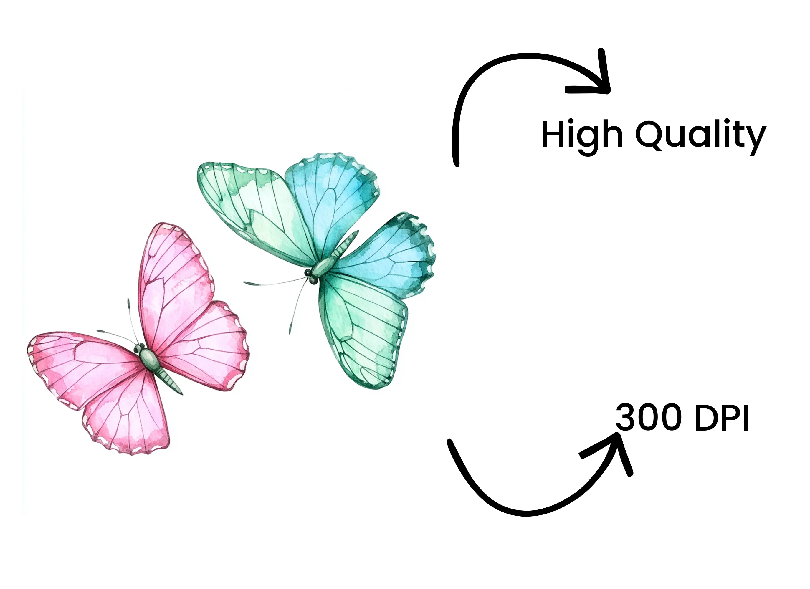 Colorful Butterfly Clipart Bundle - Image 4