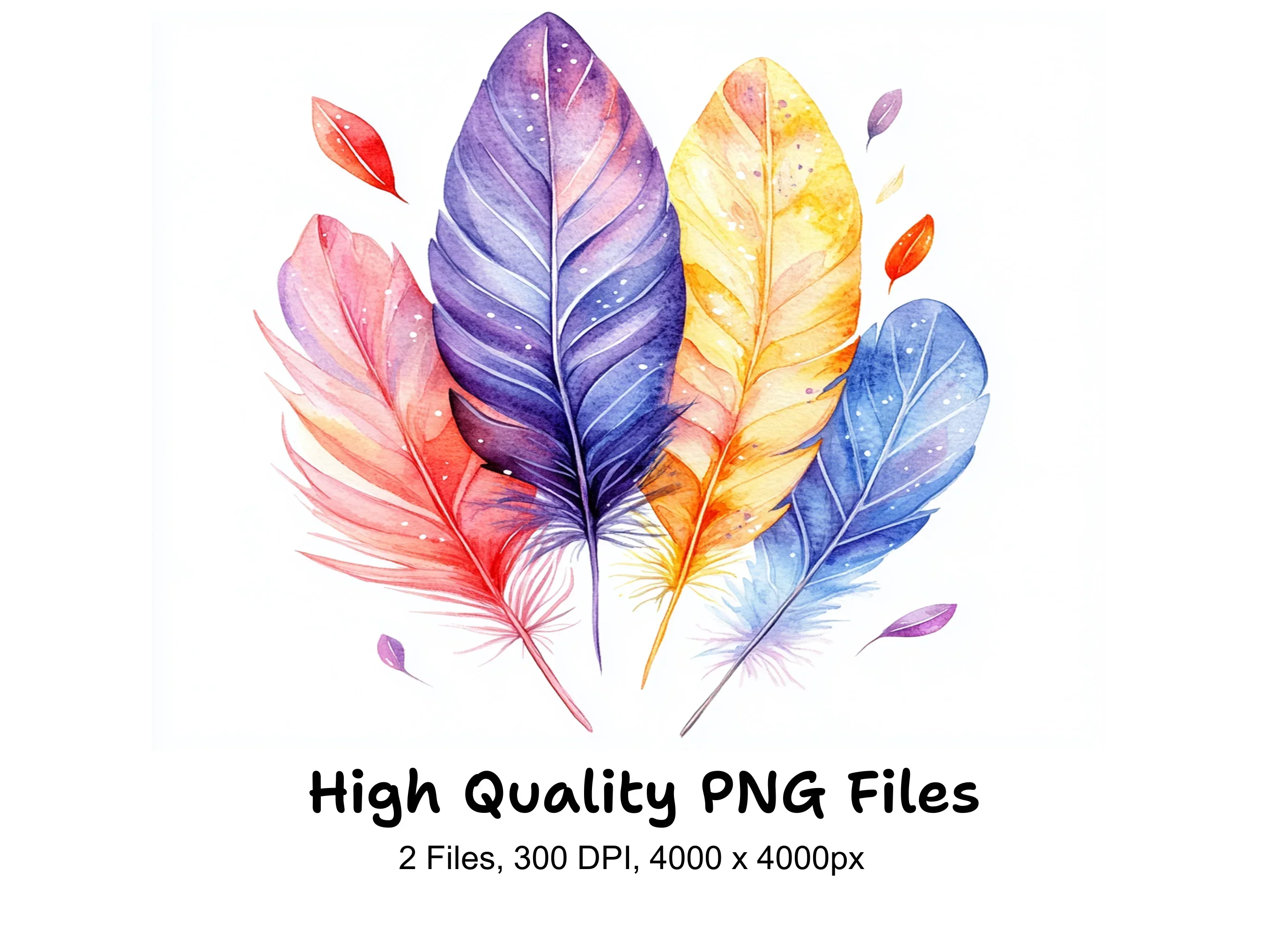 Colorful Feather Arrangement Clipart Bundle