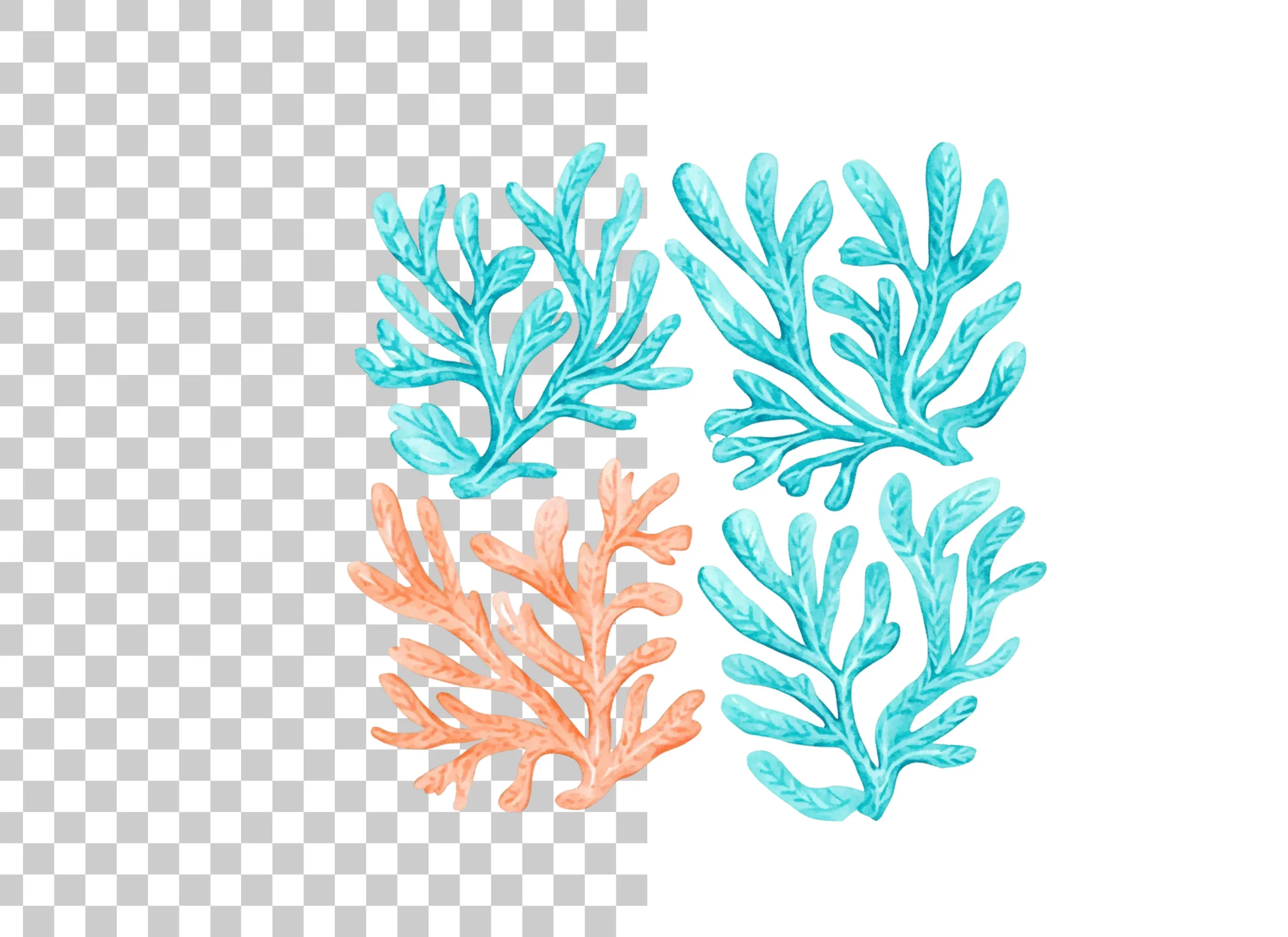 Coral Branches Clipart Bundle - Image 3