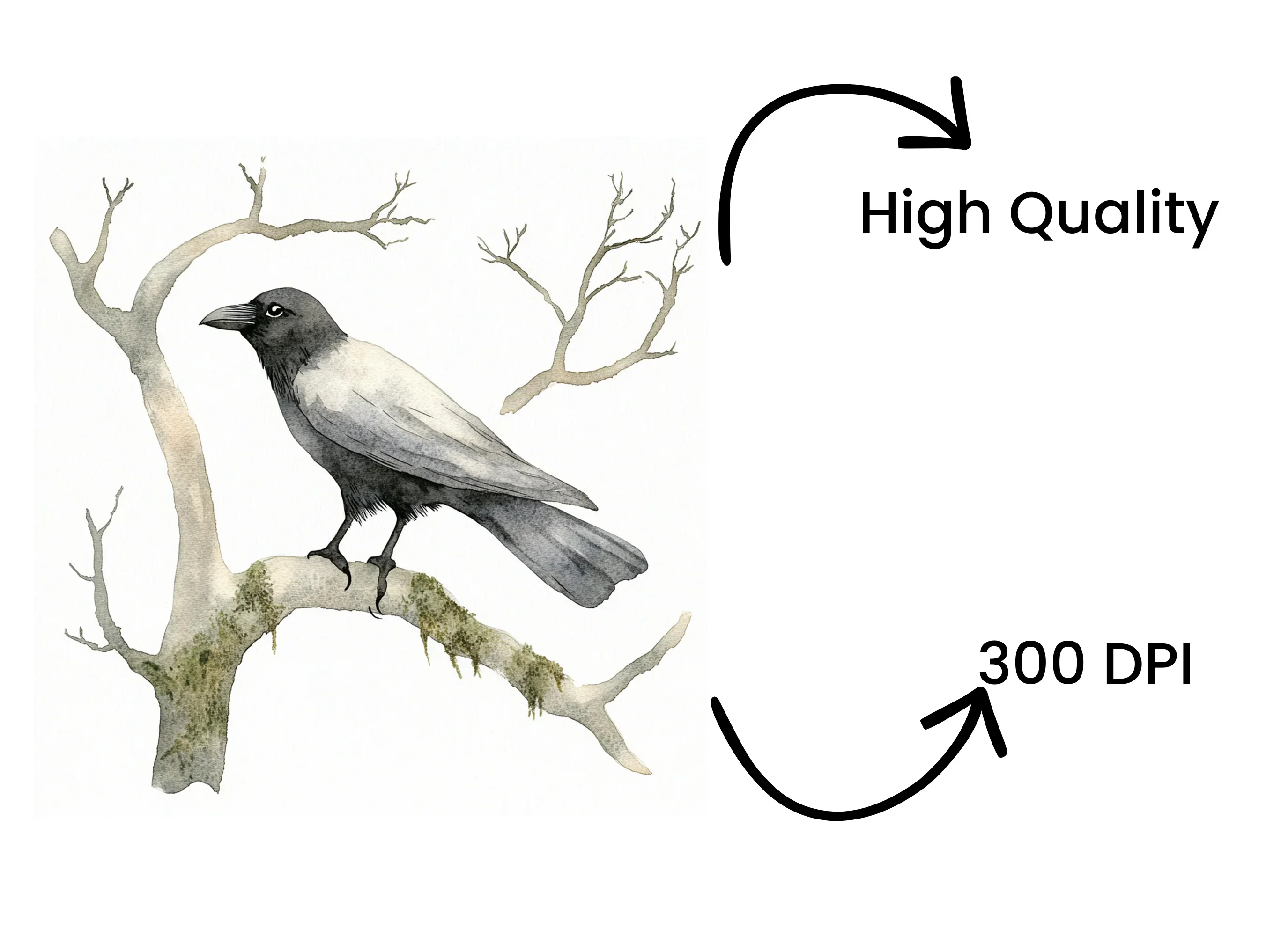 Crows on Bare Branches Clipart Bundle - Image 4