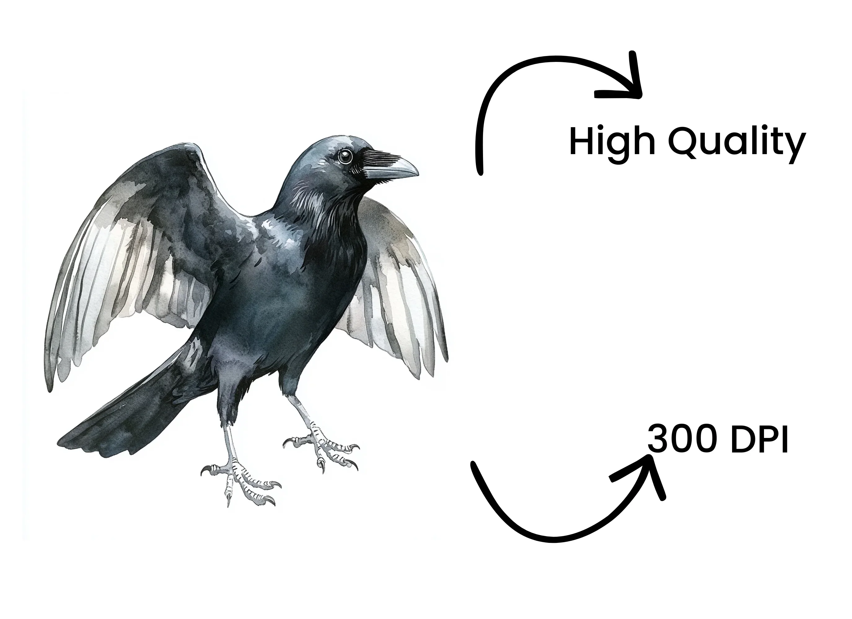 Crows with Open Wings Clipart Bundle - Image 4