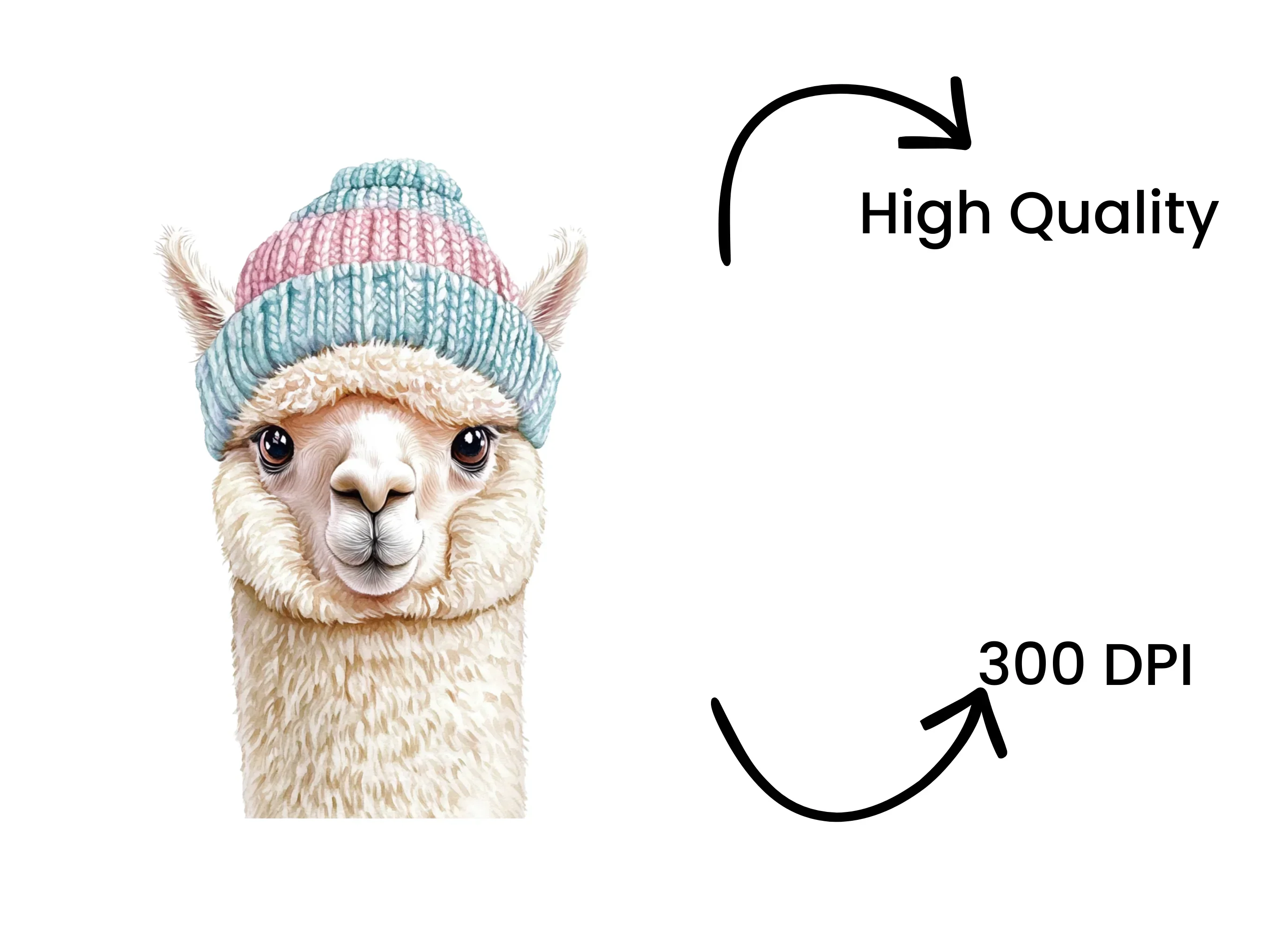 Cute Alpaca Winter Hat Clipart Bundle - Image 4