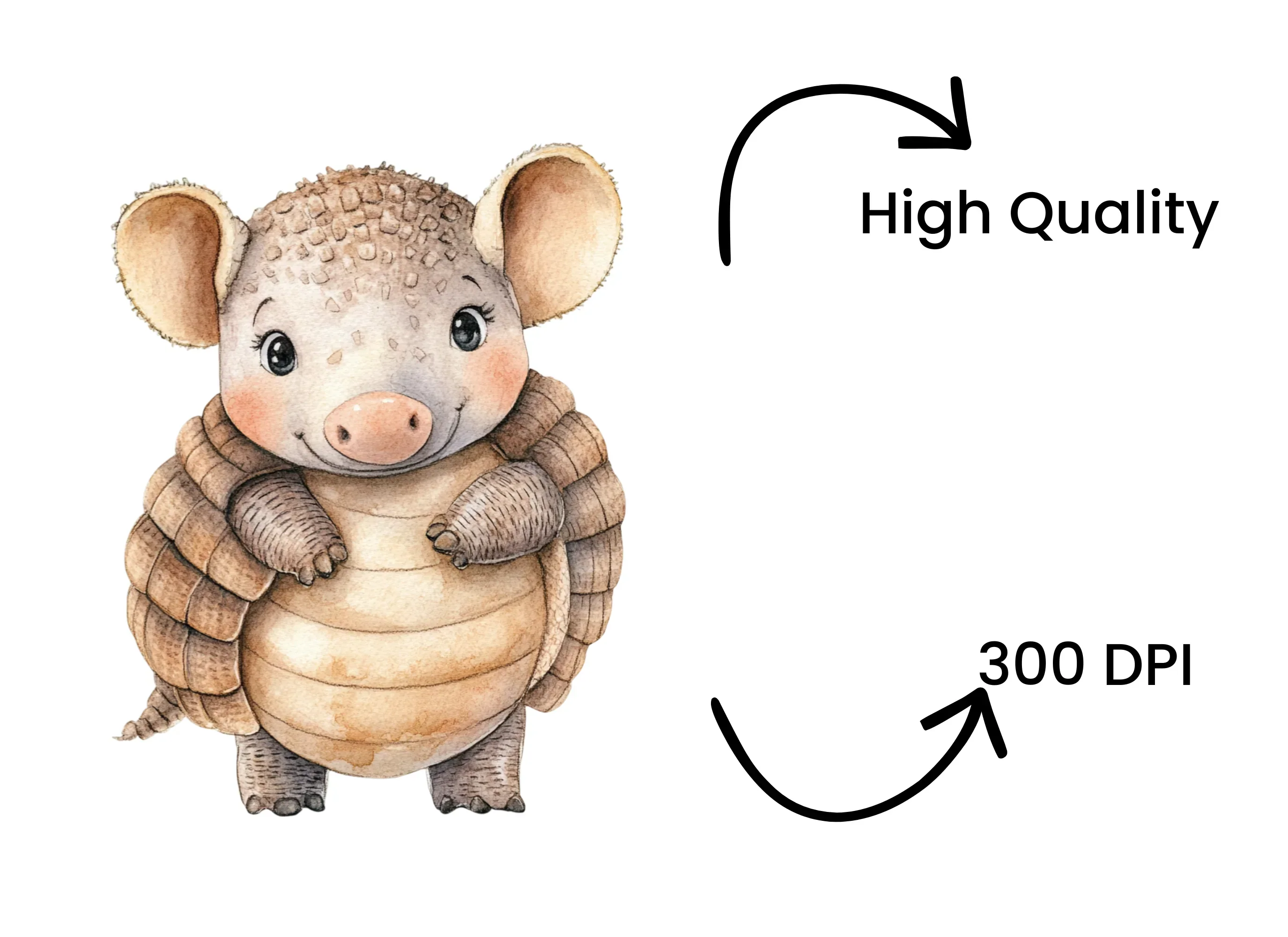 Cute Armadillo Clipart Bundle - Image 4