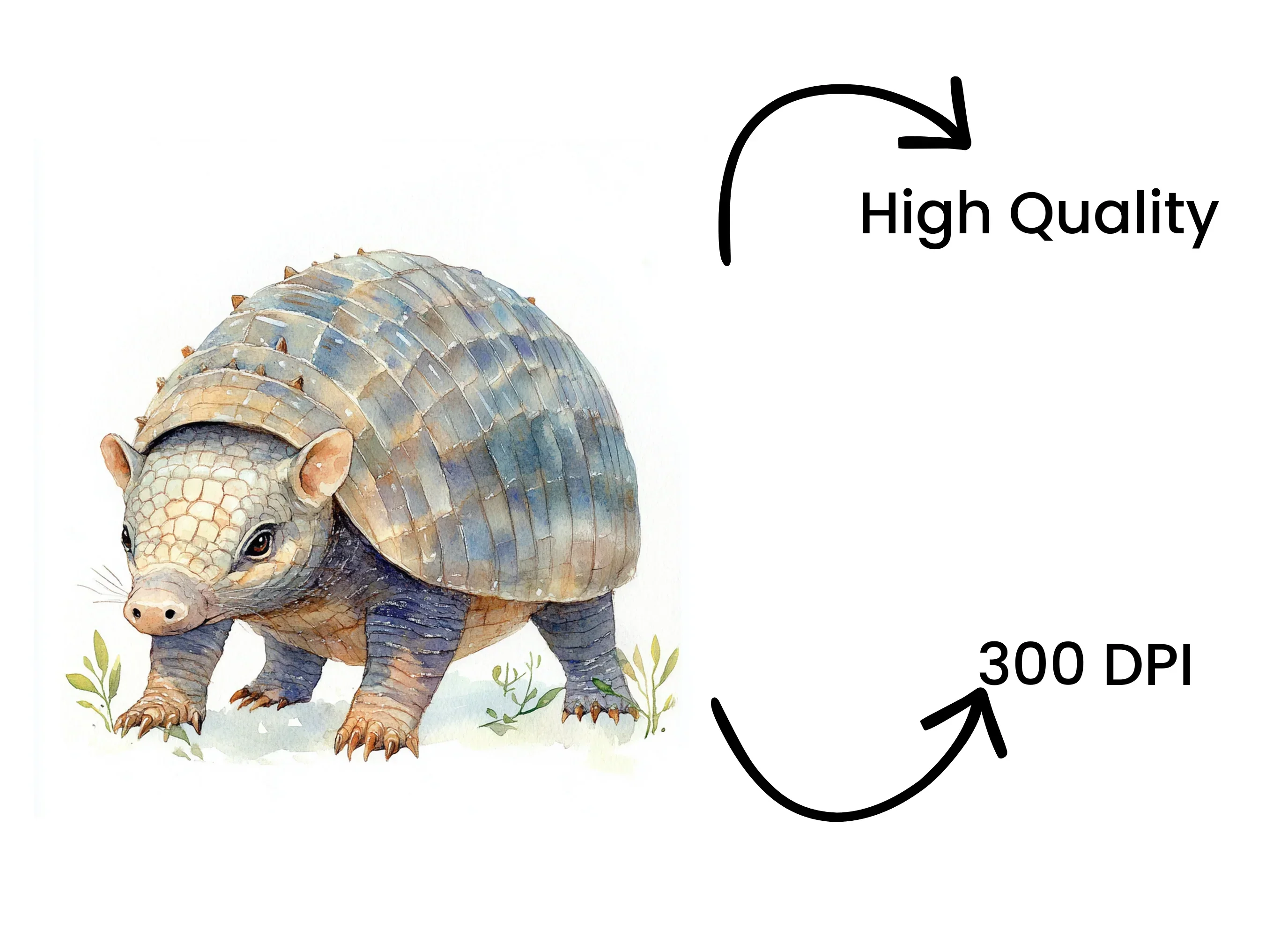 Cute Armadillo Clipart Bundle - Image 4