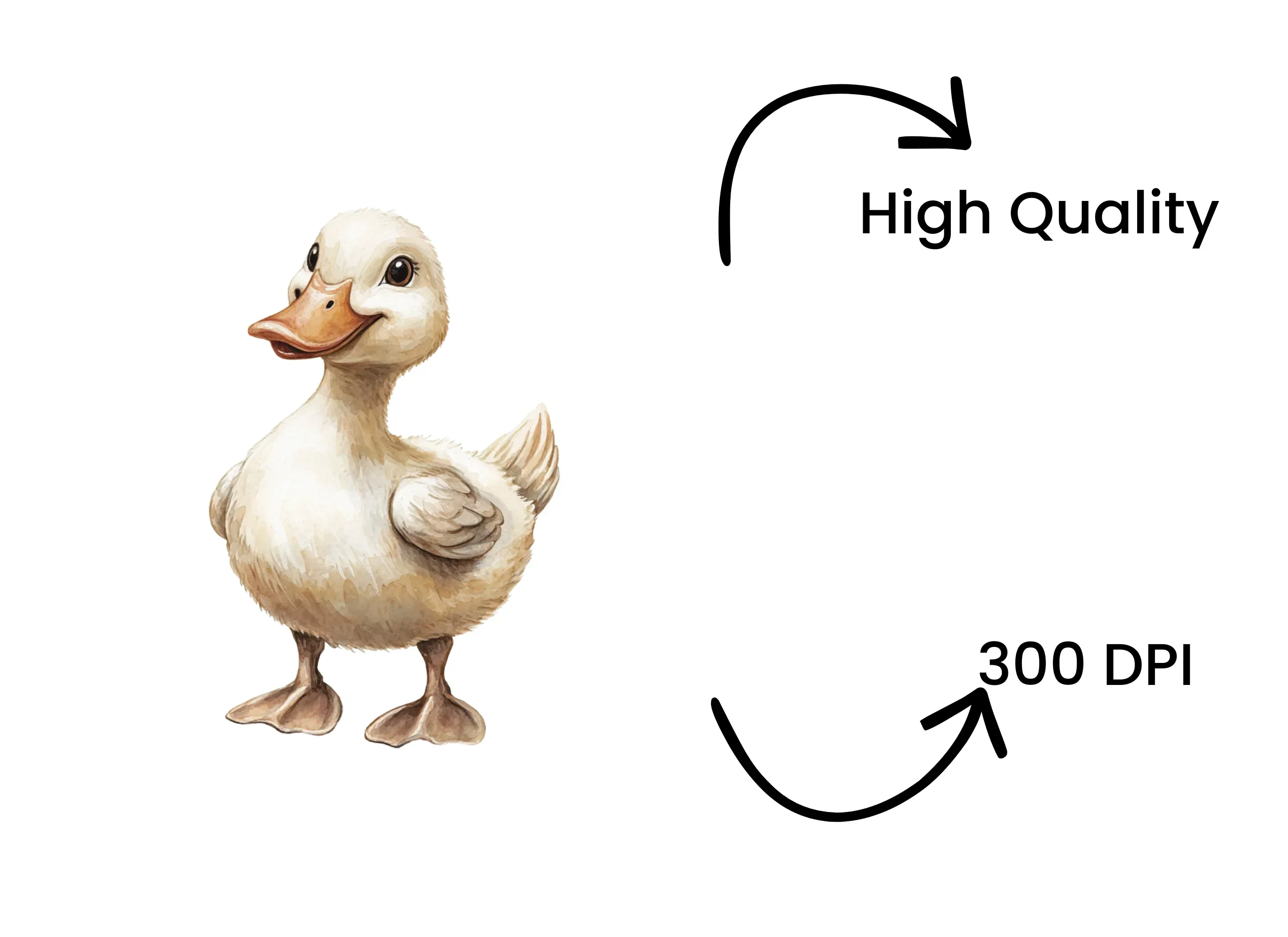 Cute Baby Duckling Clipart Bundle - Image 4