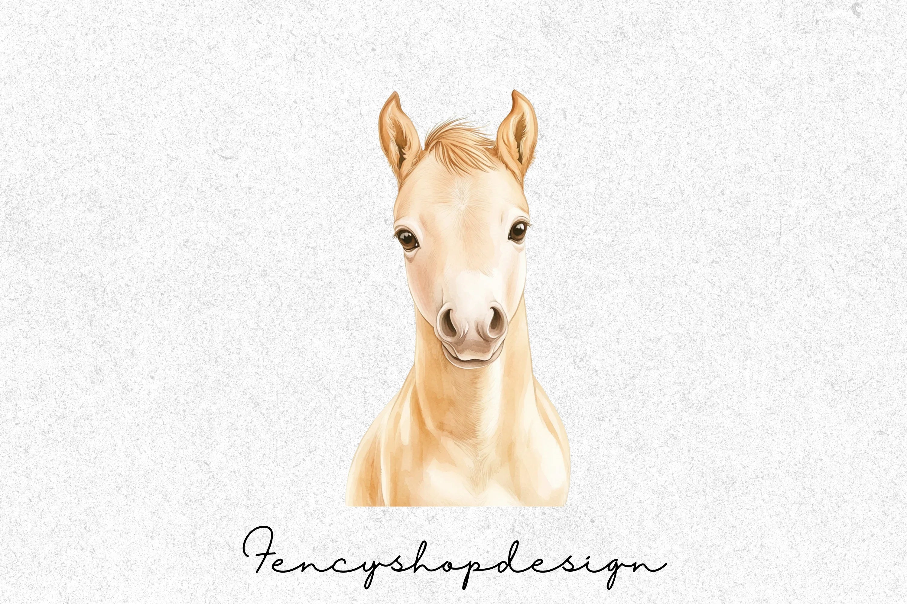 Cute Baby Horse Foal Clipart Bundle - Image 2