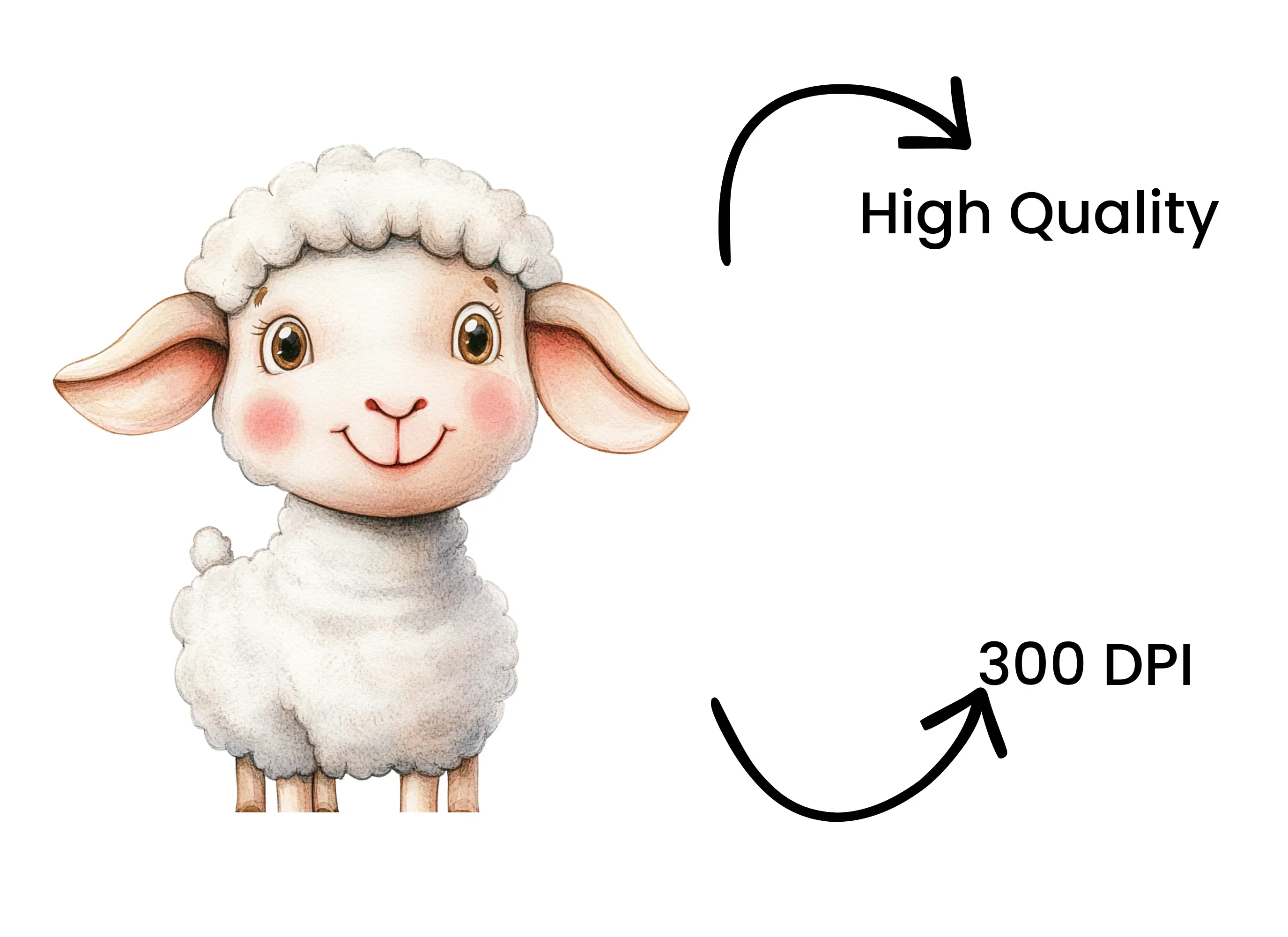 Cute Baby Sheep Clipart Bundle - Image 4
