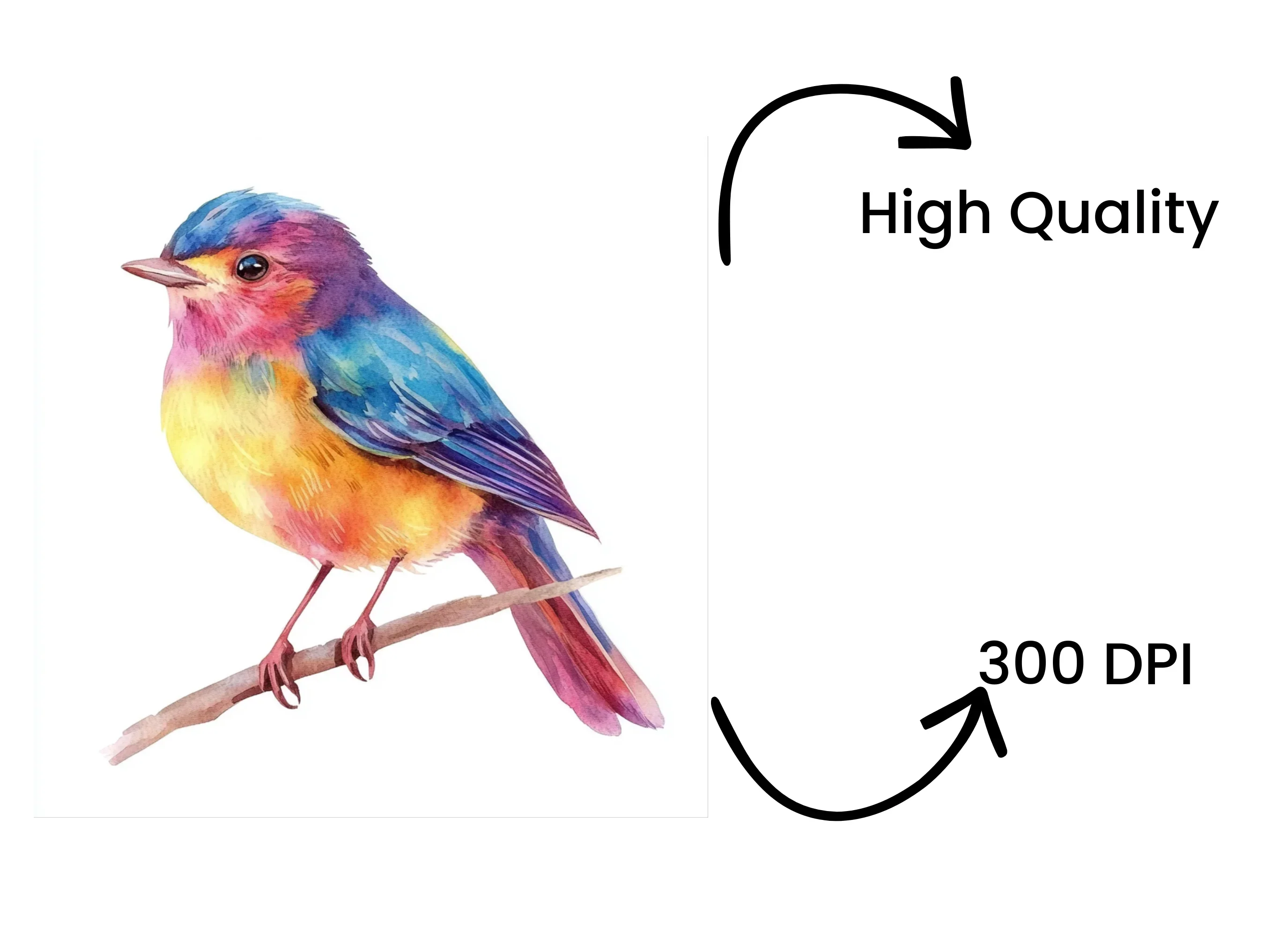 Cute Birds Clipart Bundle - Image 4