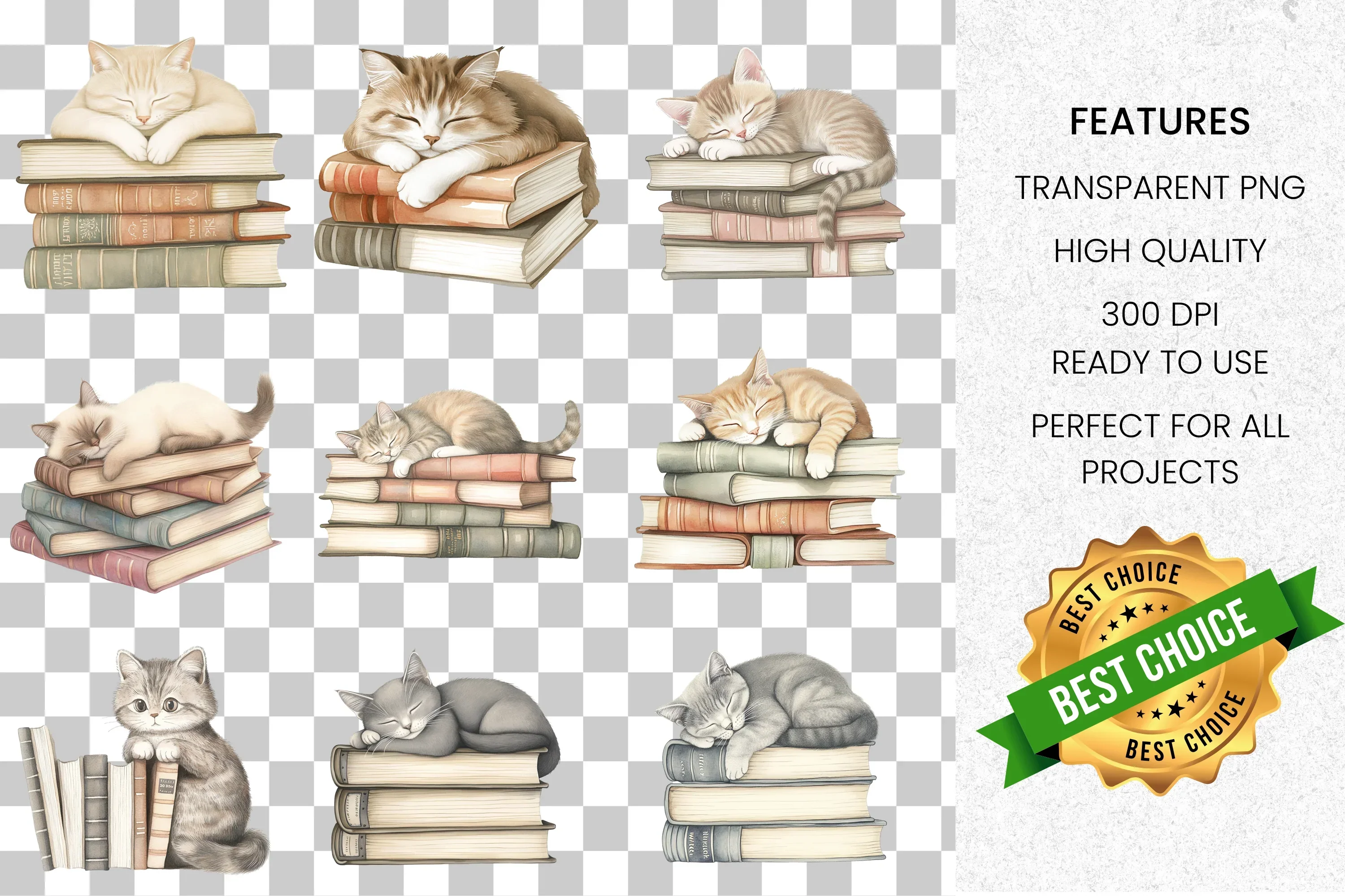 Cute Cats Sleeping on Books Clipart Bundle - Image 2