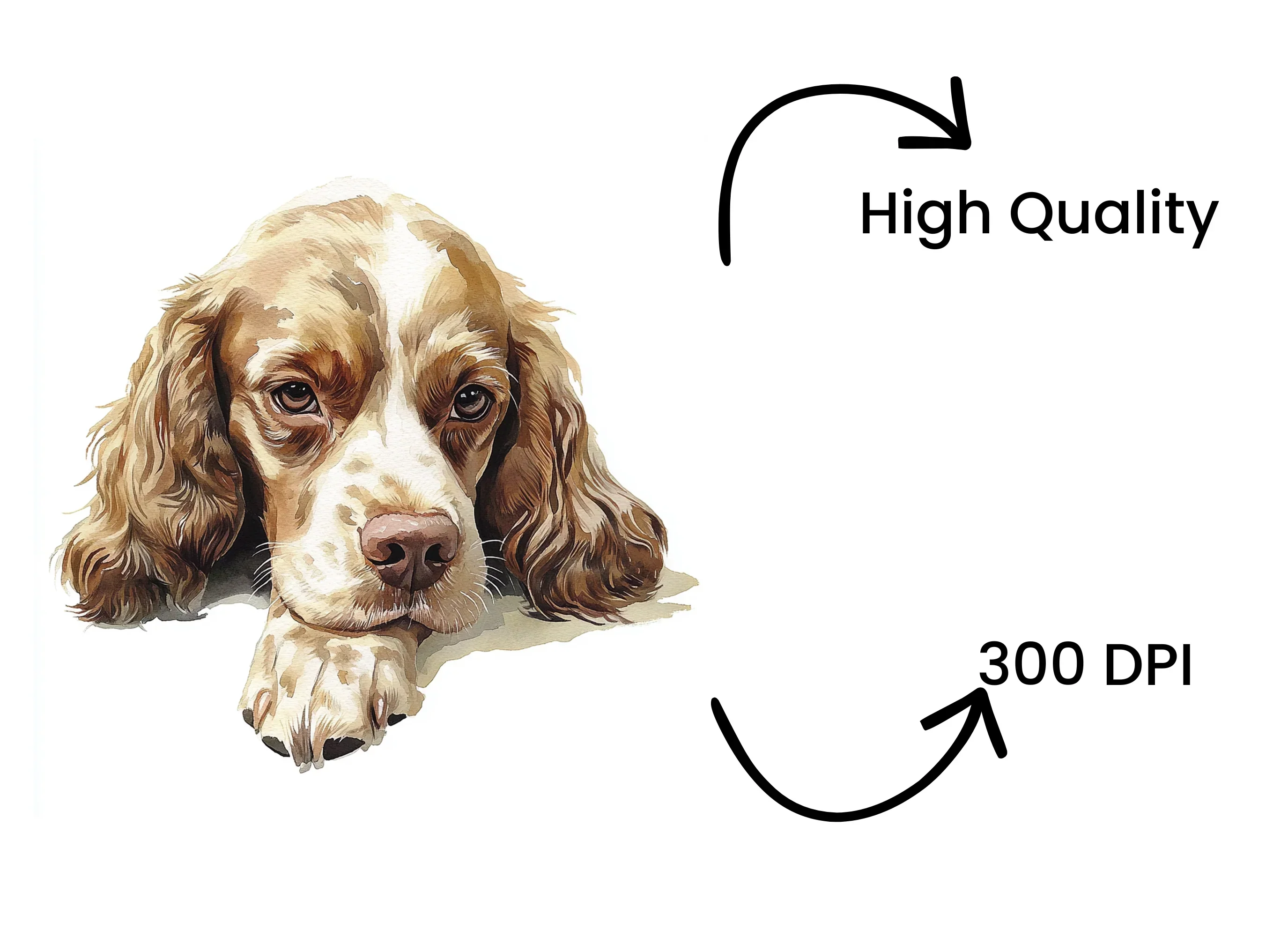 Cute Cocker Spaniel Clipart Bundle - Image 4