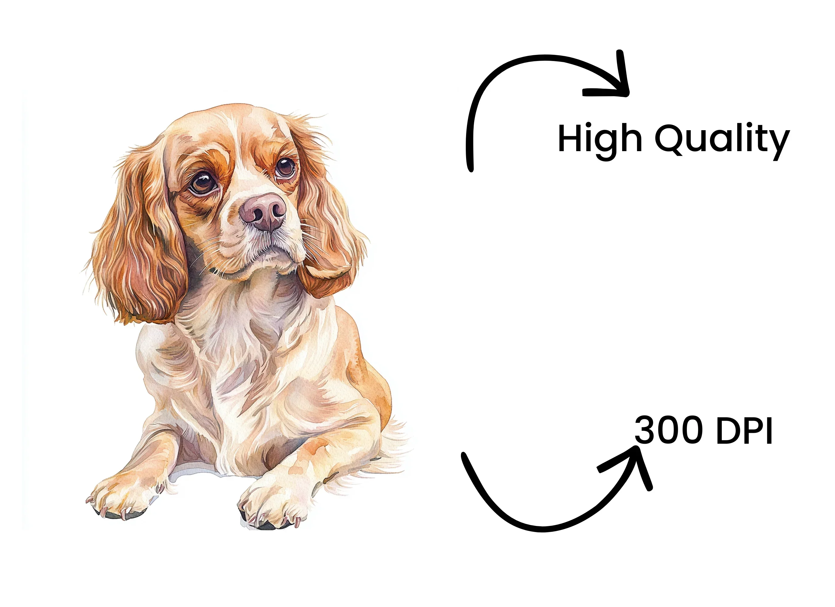 Cute Cocker Spaniel Clipart Bundle - Image 4