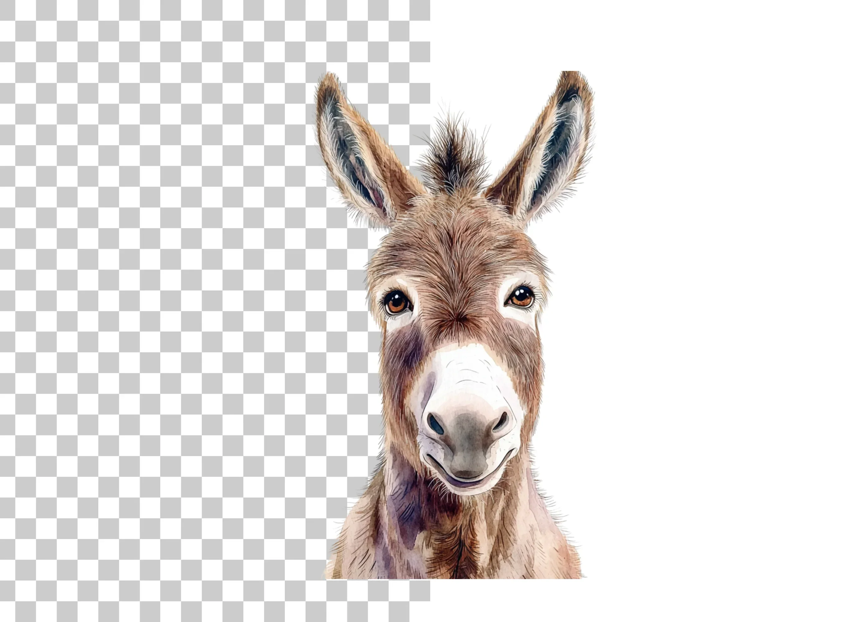 Cute Donkey Face Clipart Bundle - Image 6