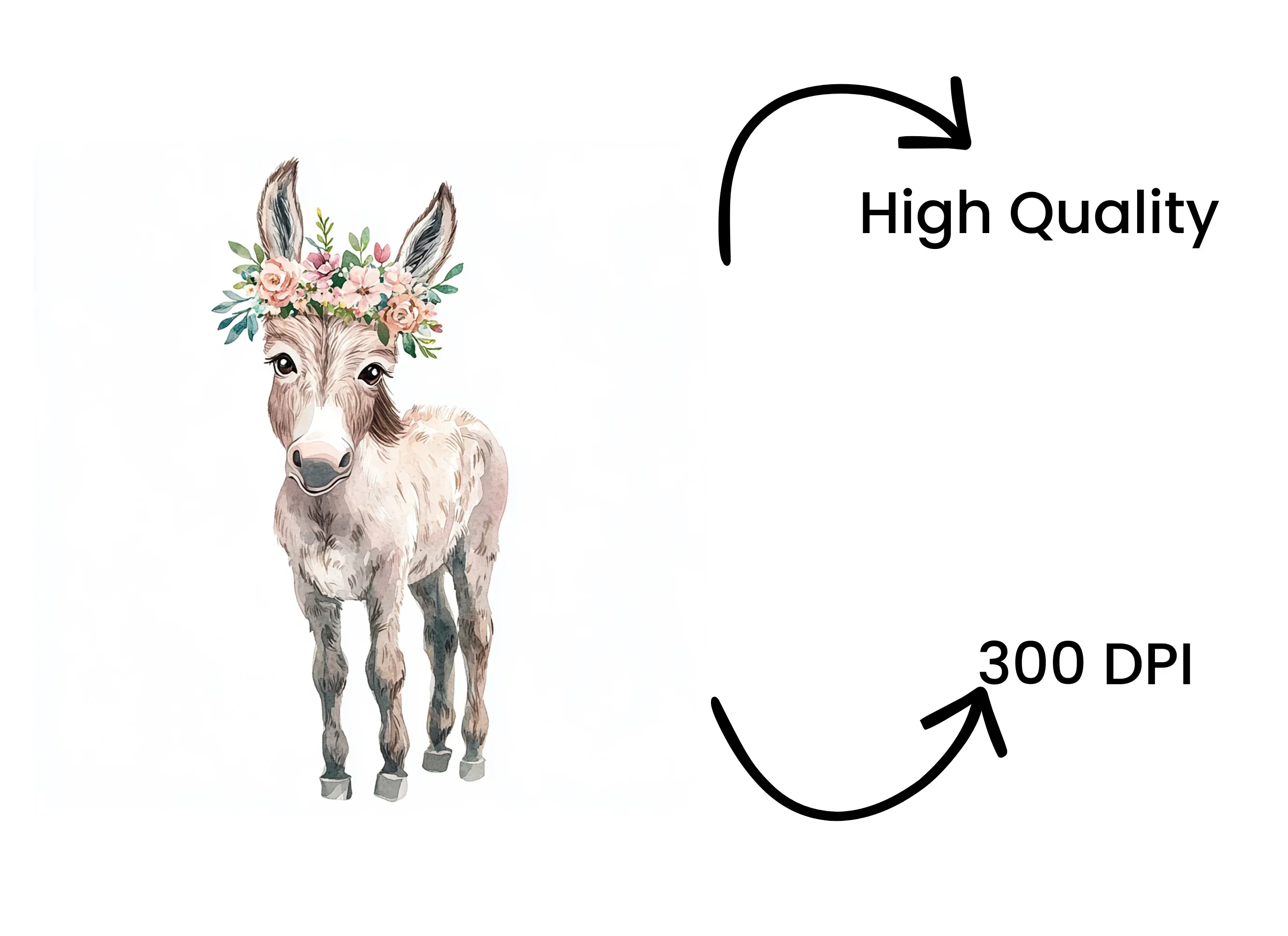 Cute Donkey with Floral Crown Clipart Bundle - Image 4