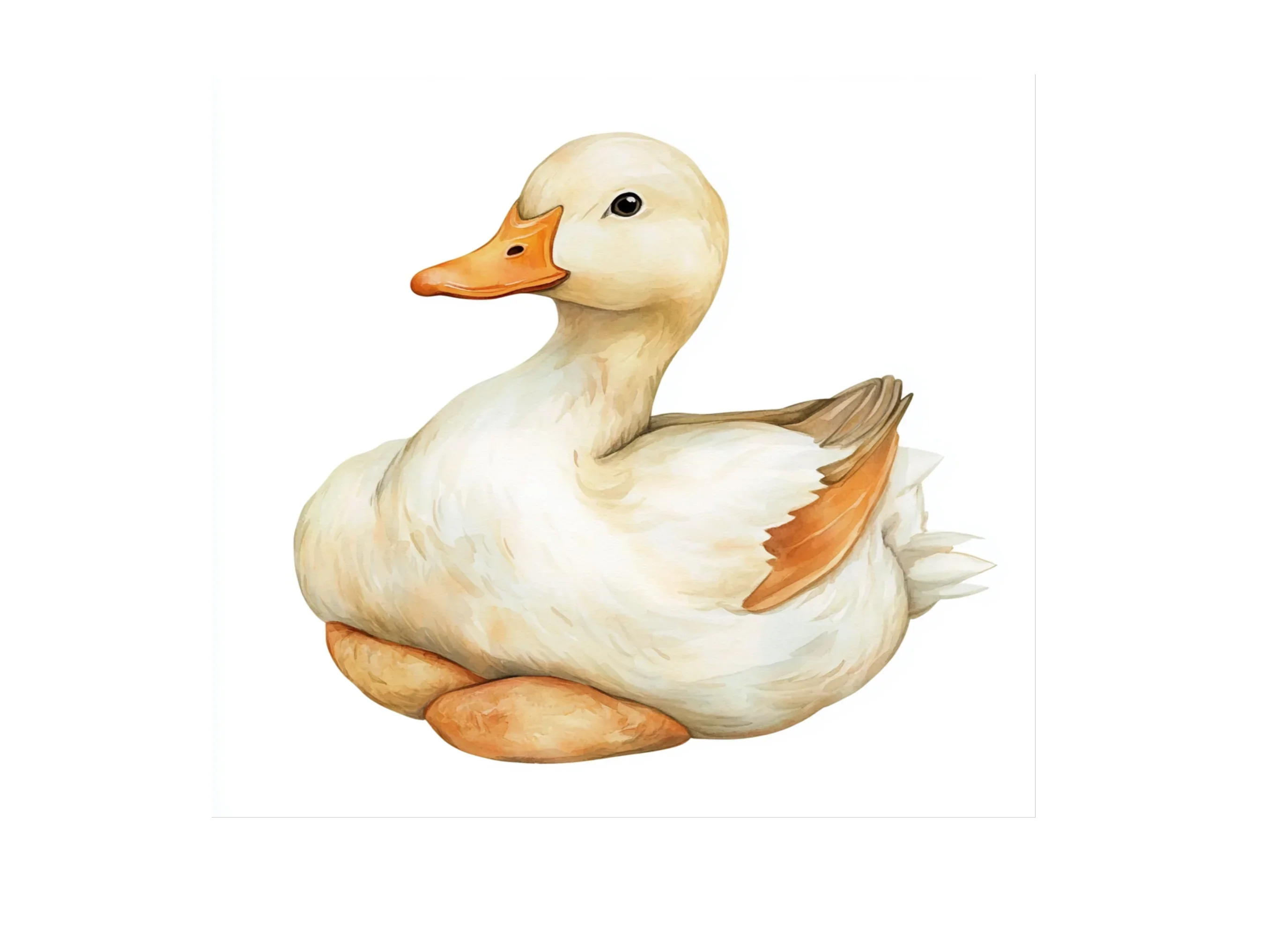 Cute Duck Clipart Bundle - Image 2