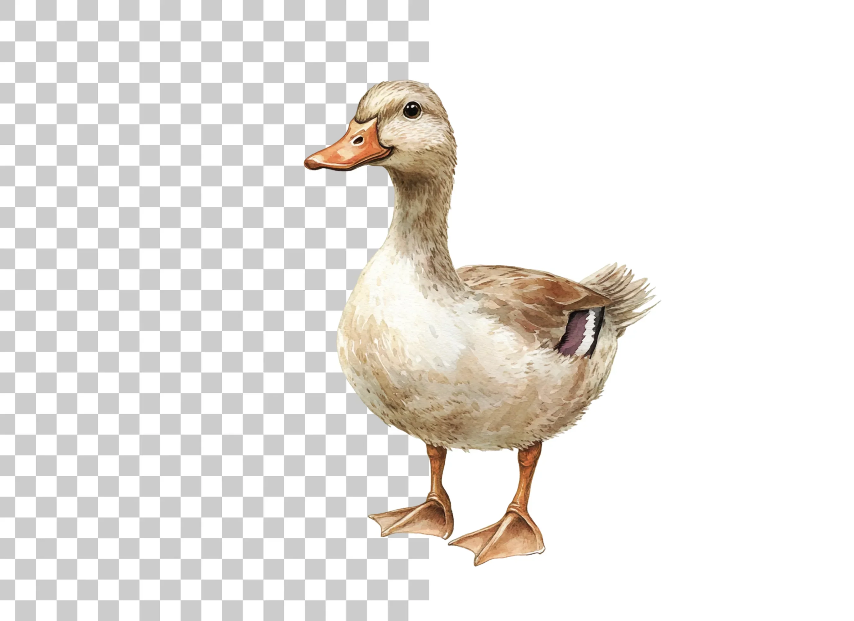 Cute Duck Clipart Bundle - Image 2