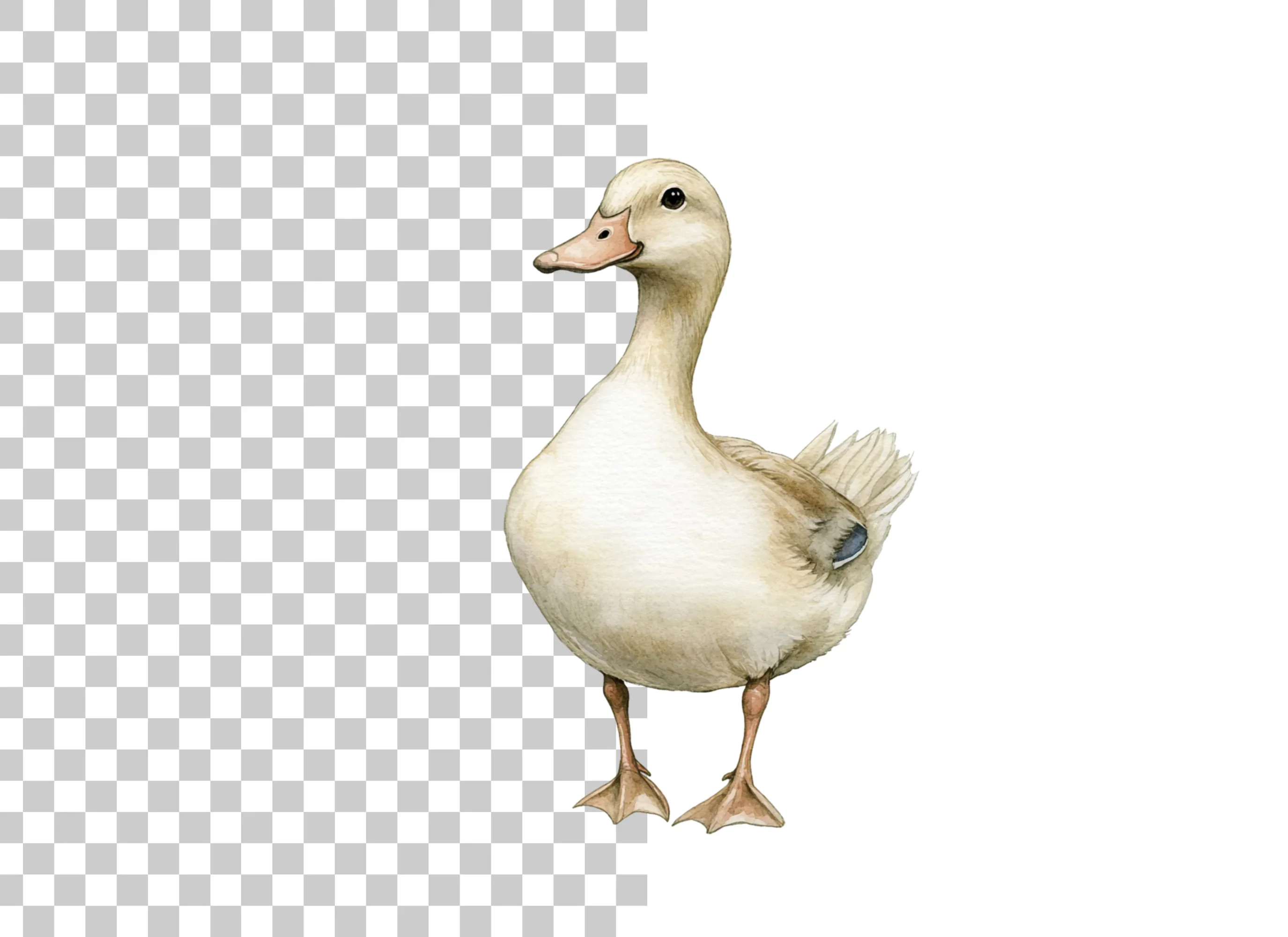 Cute Duck Clipart Bundle - Image 2