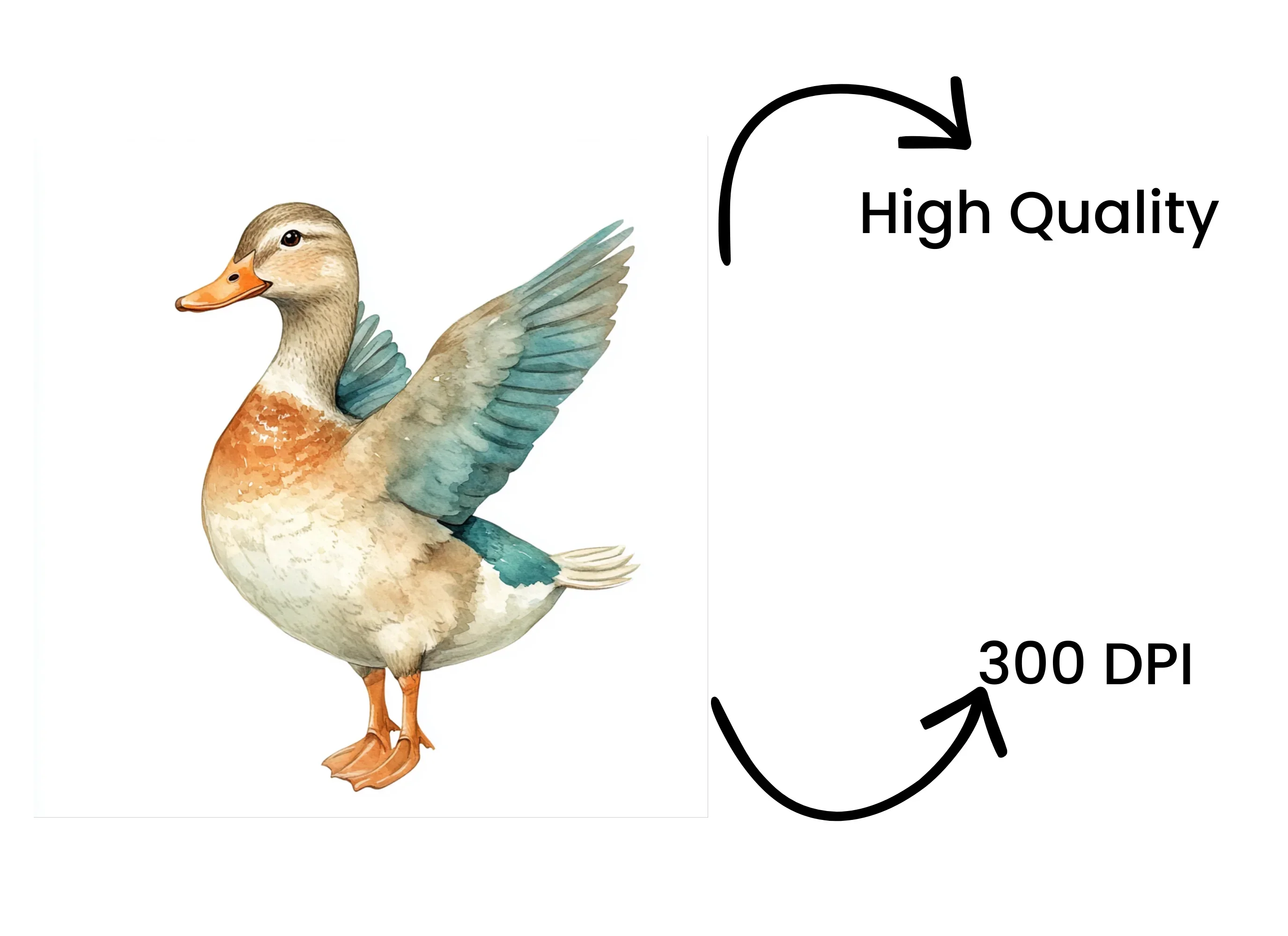Cute Duckling Clipart Bundle - Image 4