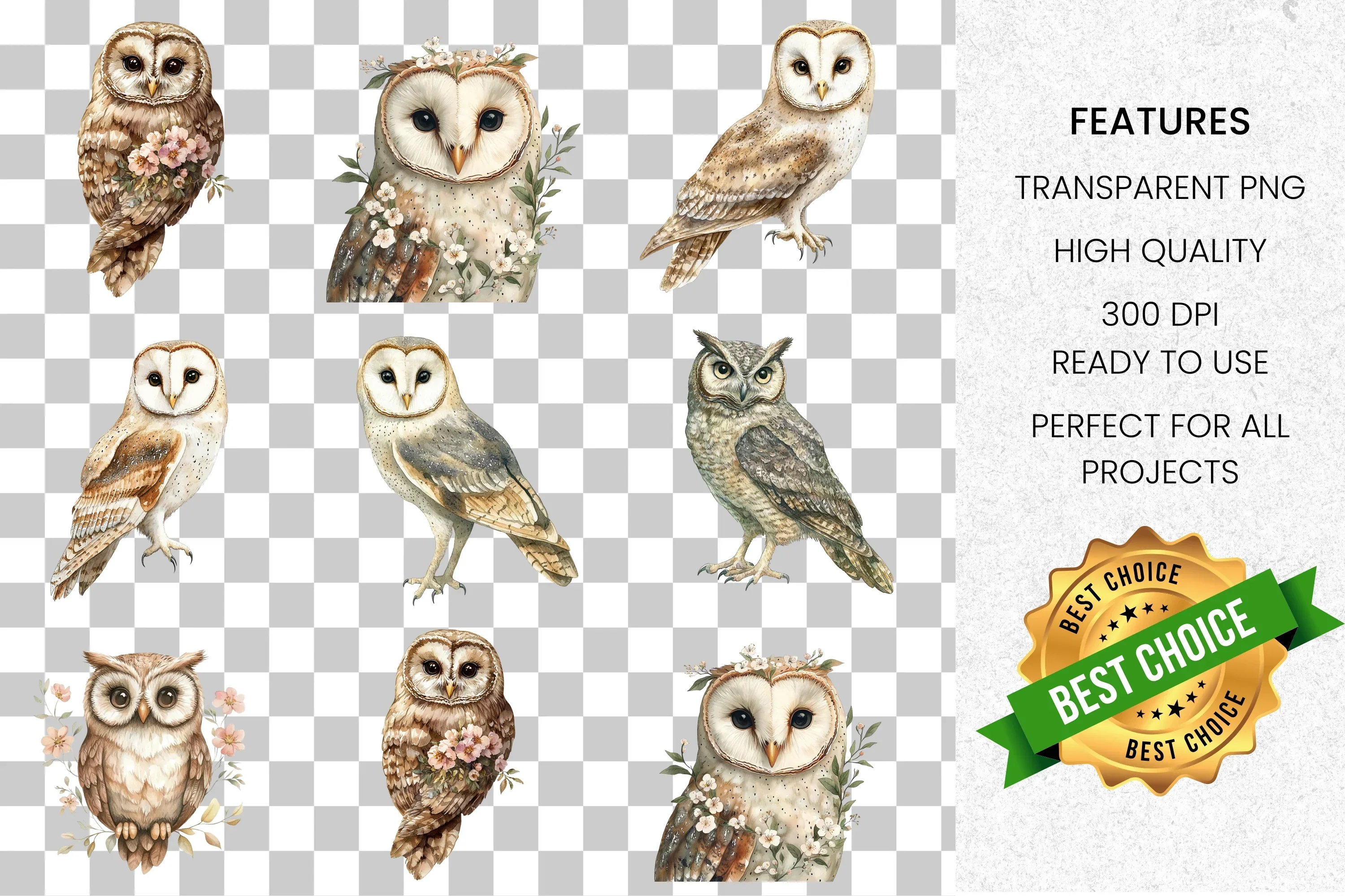 Cute Floral Owl Clipart Bundle - Image 2