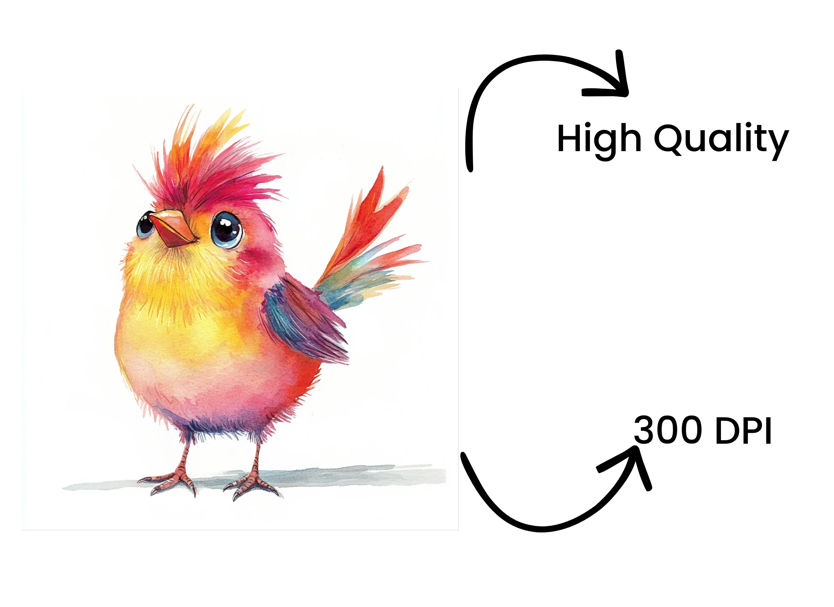 Cute Fluffy Bird Clipart Bundle - Image 4